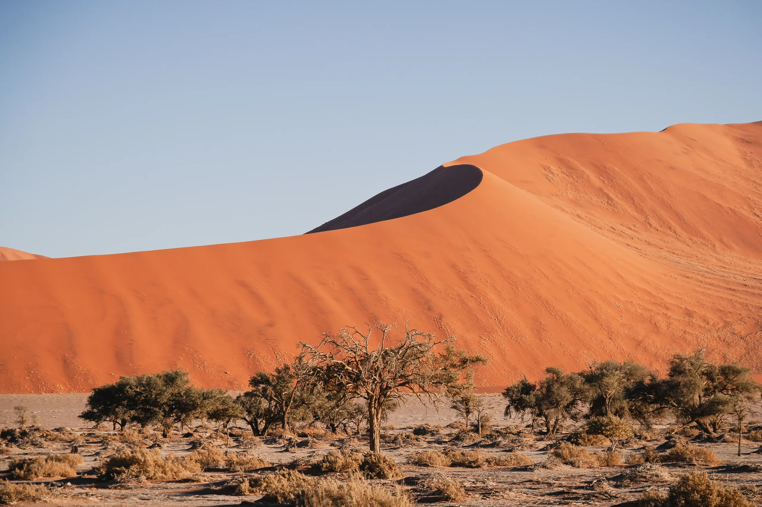 Windhoek to Sossusvlei