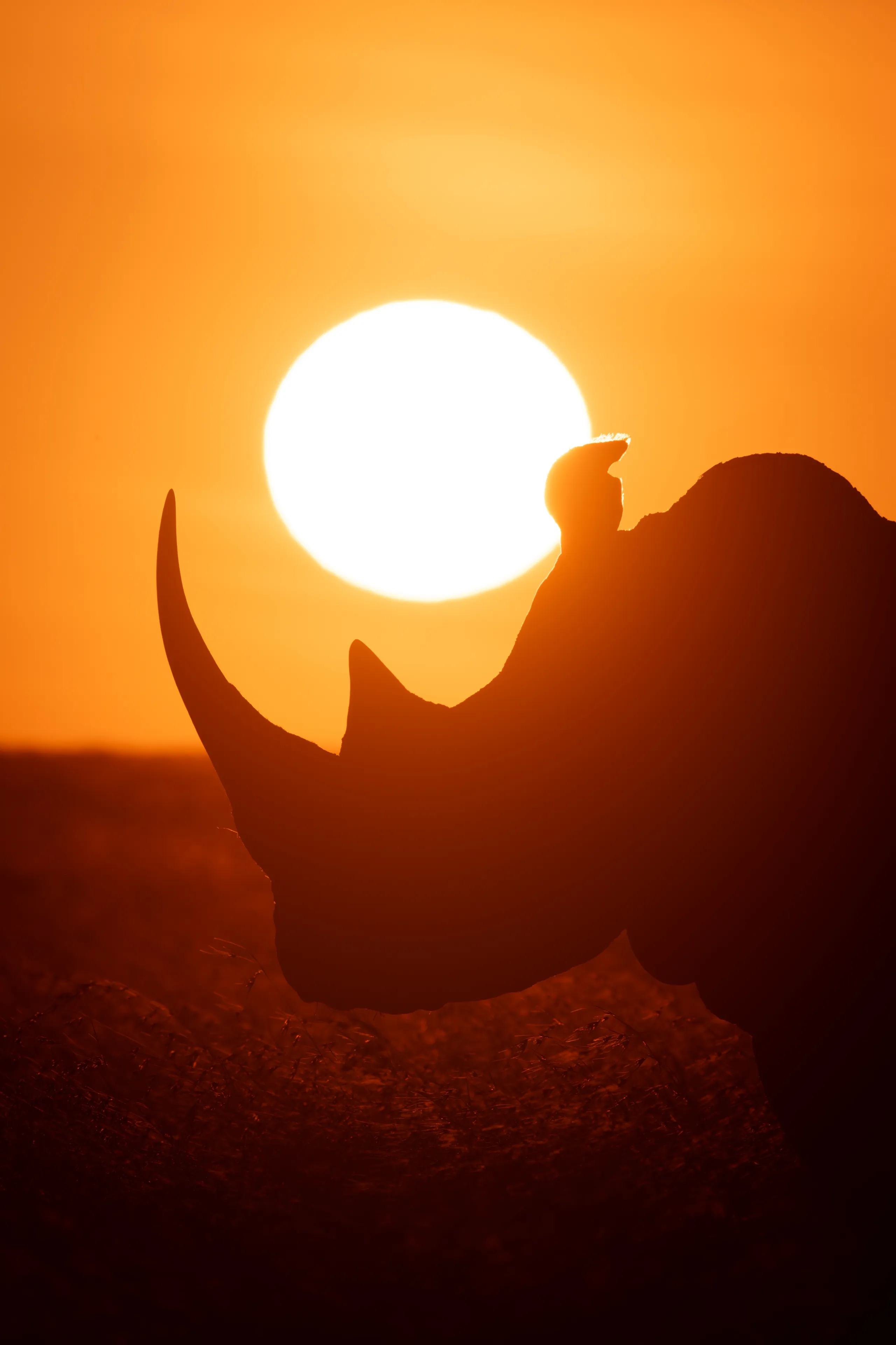 Laikipia
