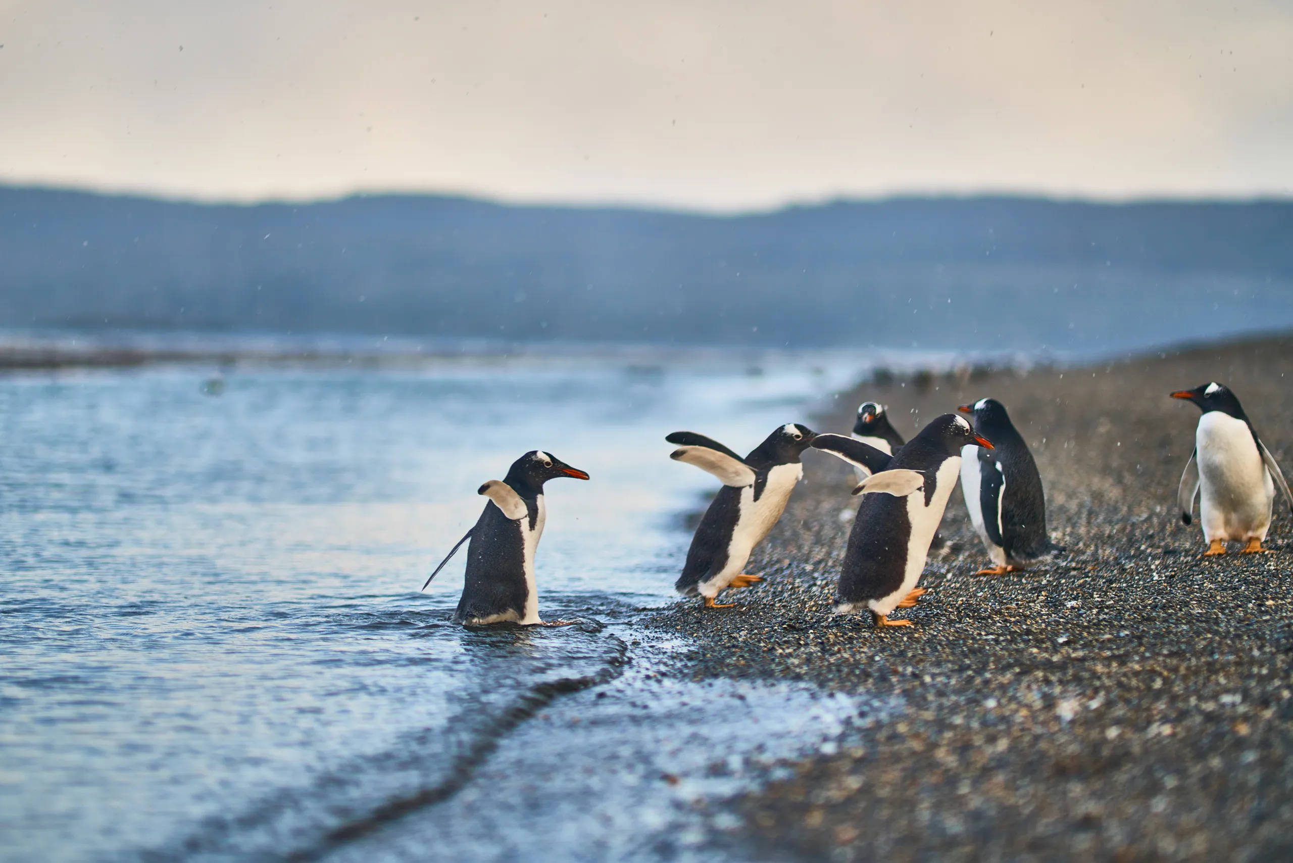 Ushuaia & Tierra del Fuego