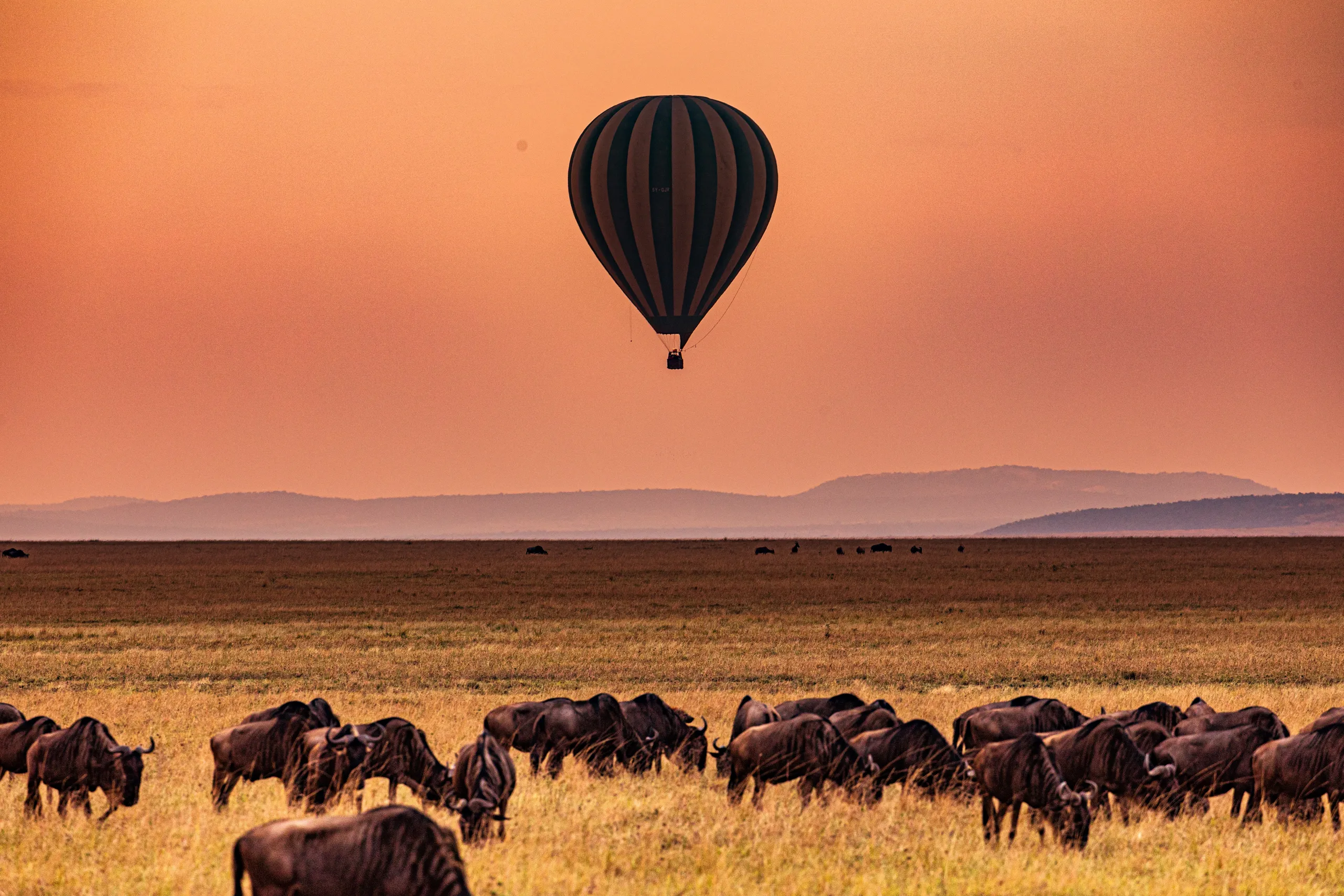 Serengeti