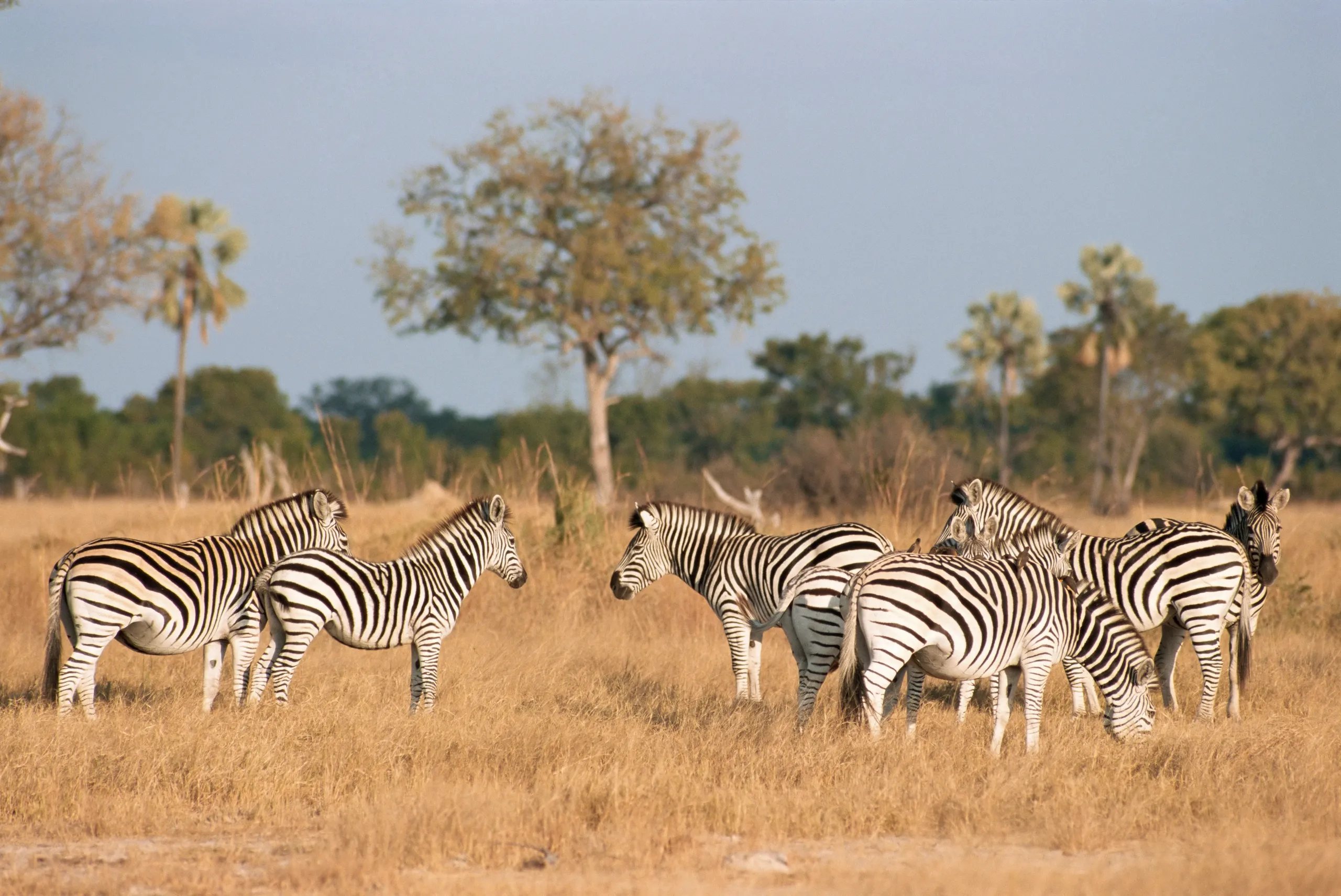 Hwange National Park