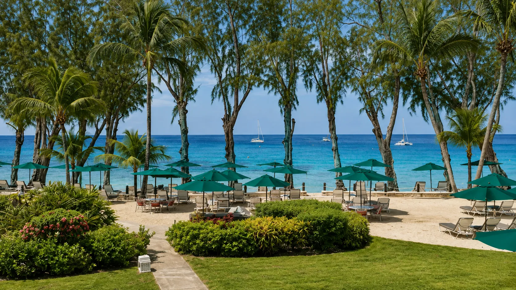 Coral Reef Club
