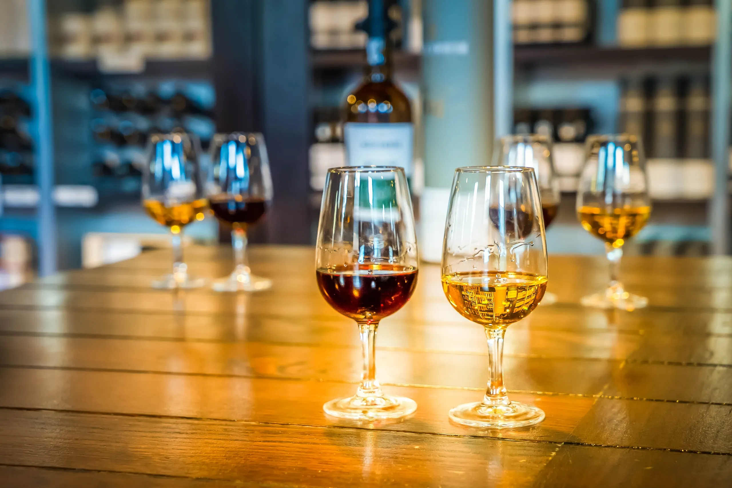 A Private Day in Douro Wine Country