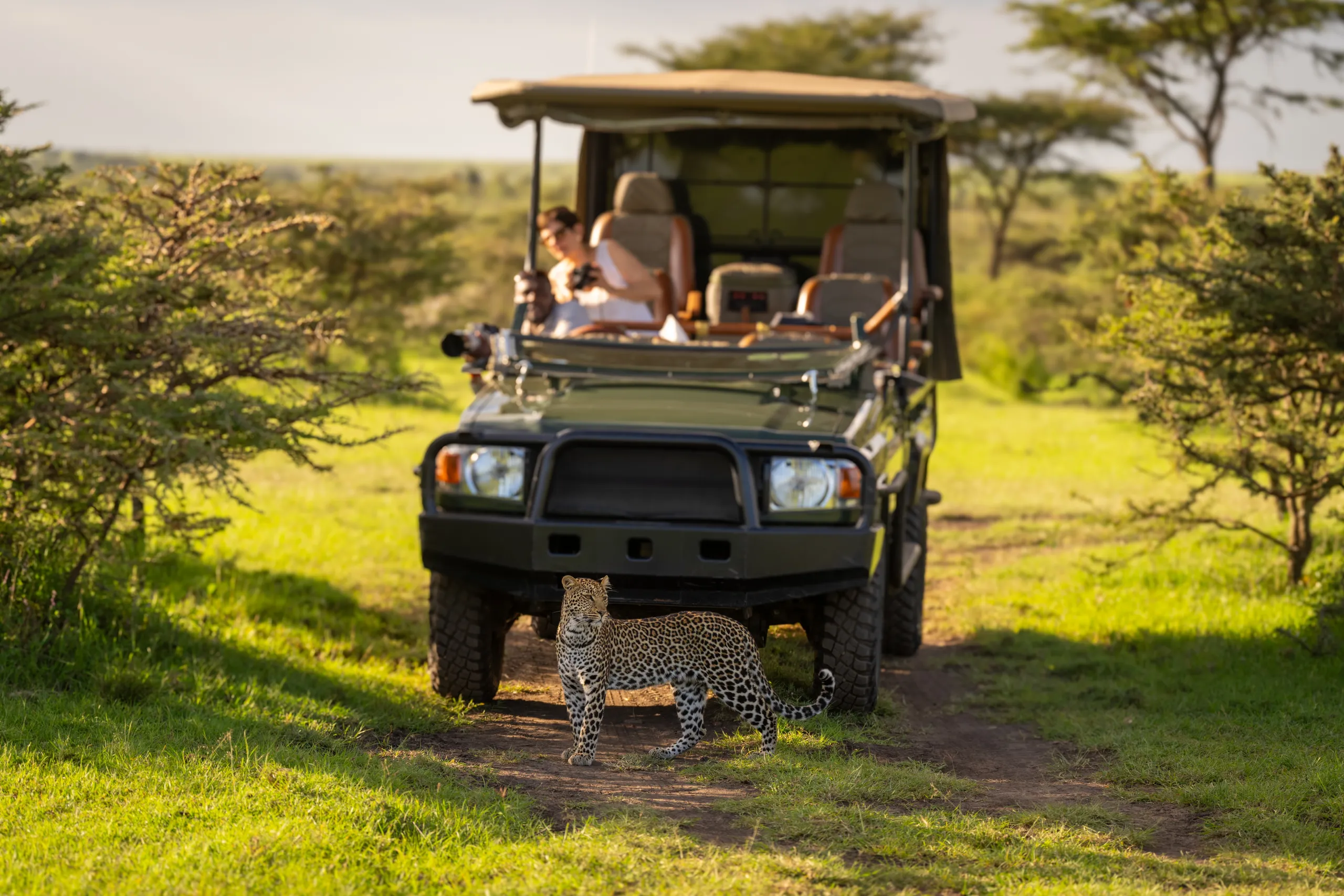 Game Drives in the Maasai Mara