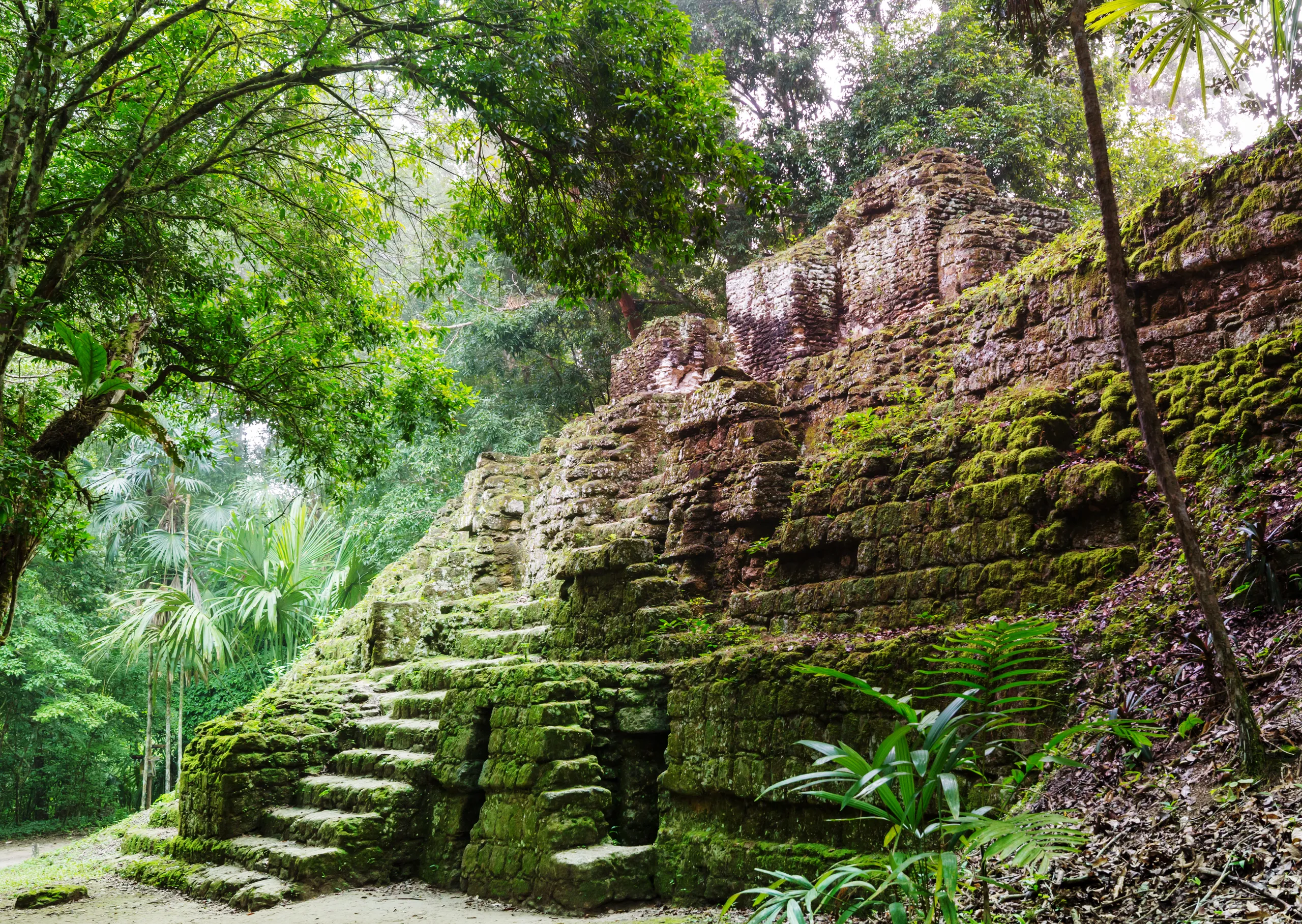 Tikal & Flores