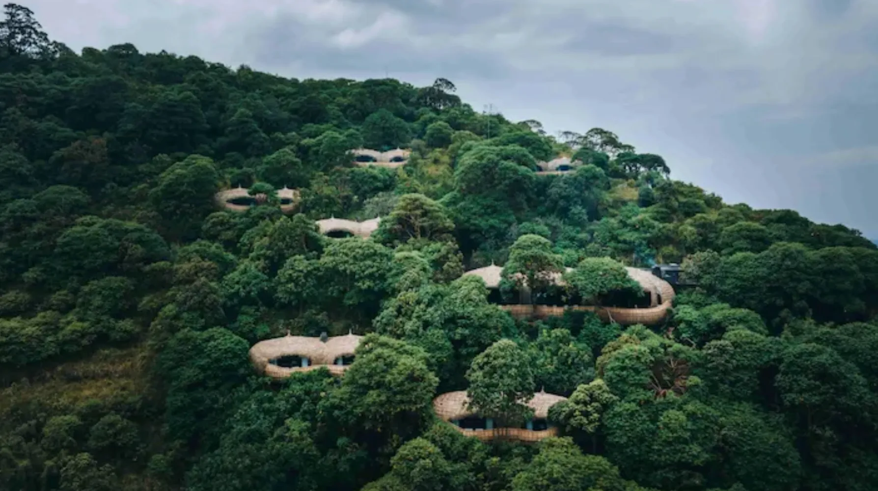Wilderness Bisate Lodge