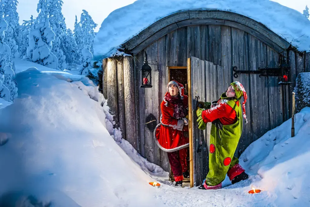 The forest outside Rovaniemi