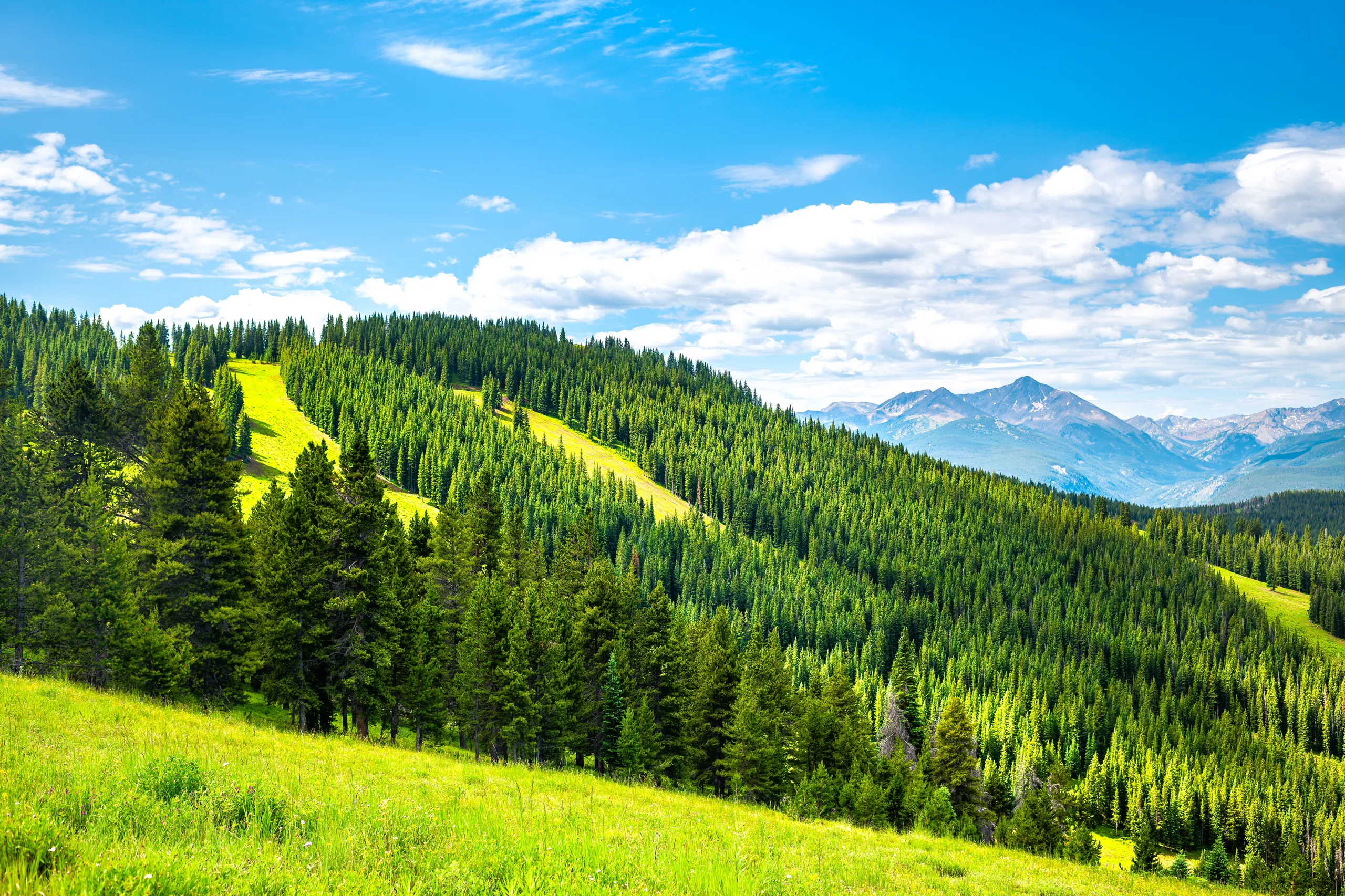 Vail & Beaver Creek