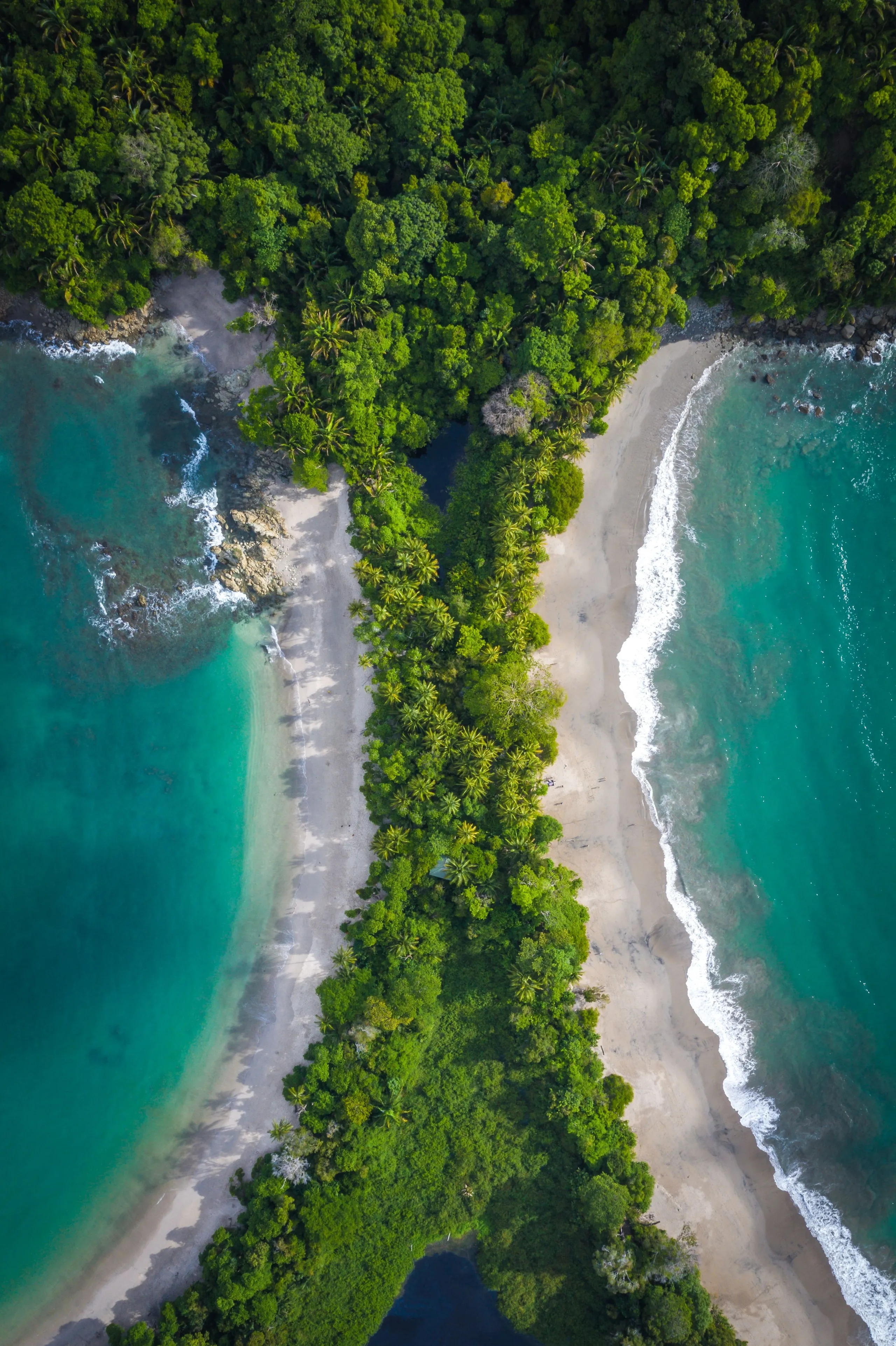 Manuel Antonio