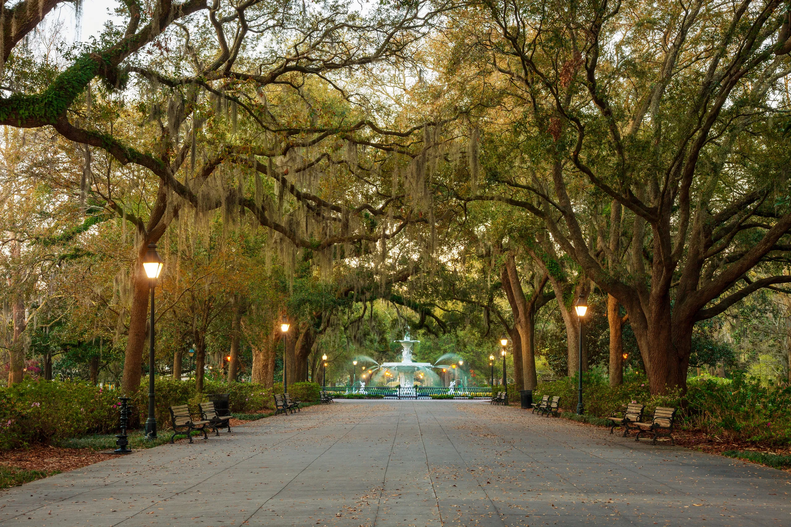 Savannah