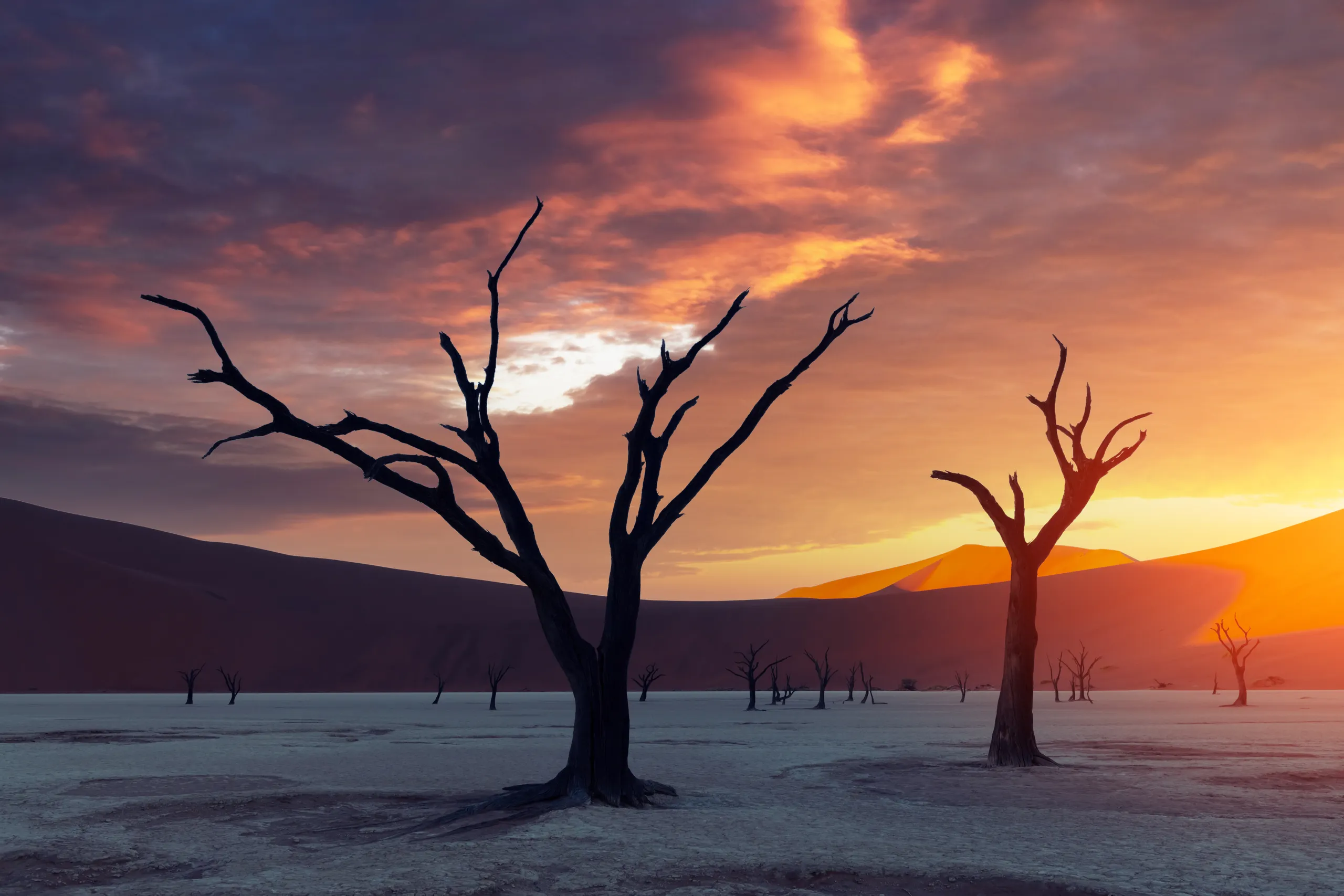 Sossusvlei & Deadvlei