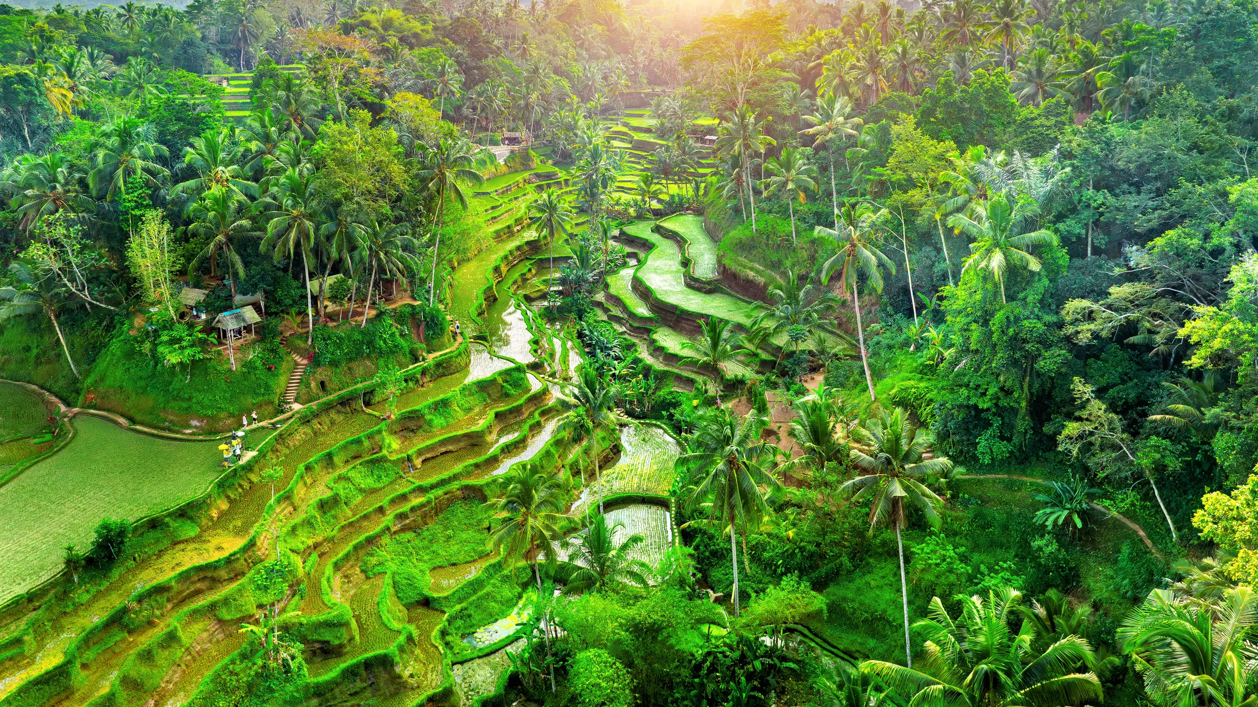 Ubud