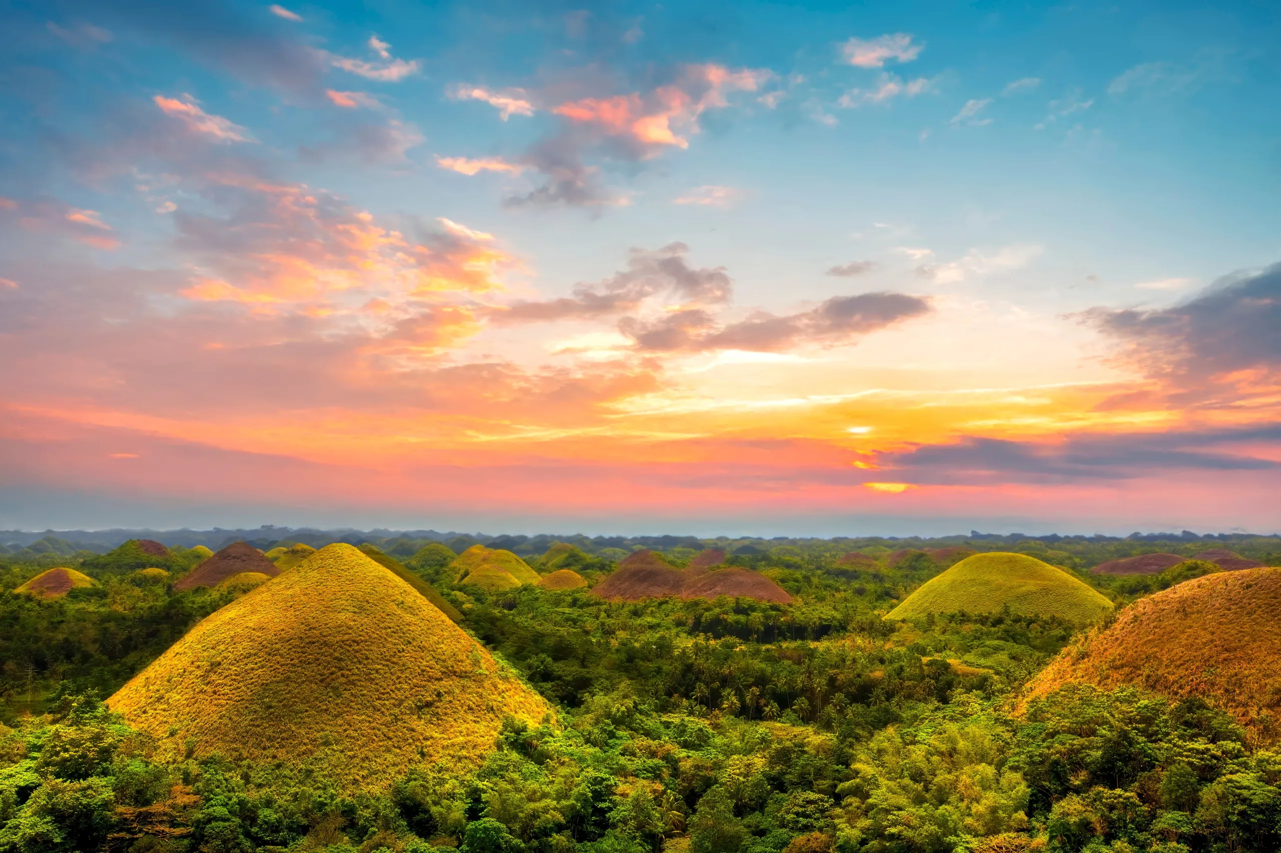 Bohol
