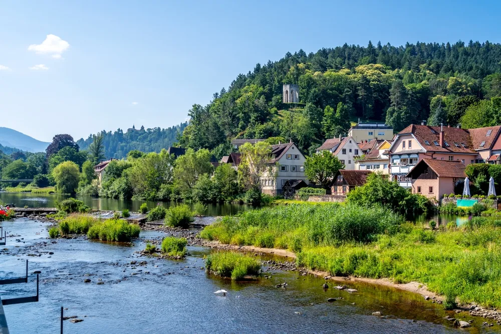 Black Forest