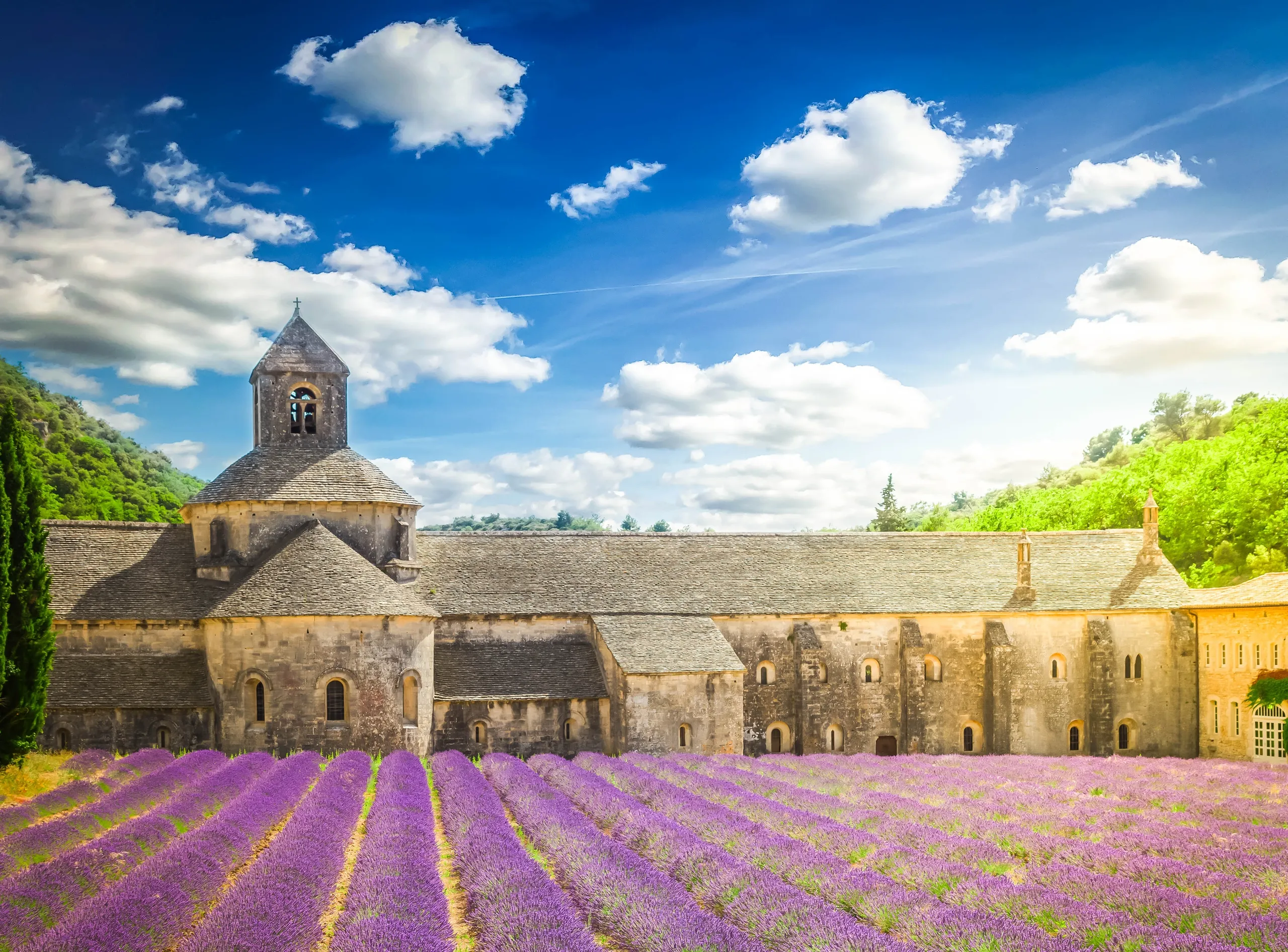 A garden in the Luberon