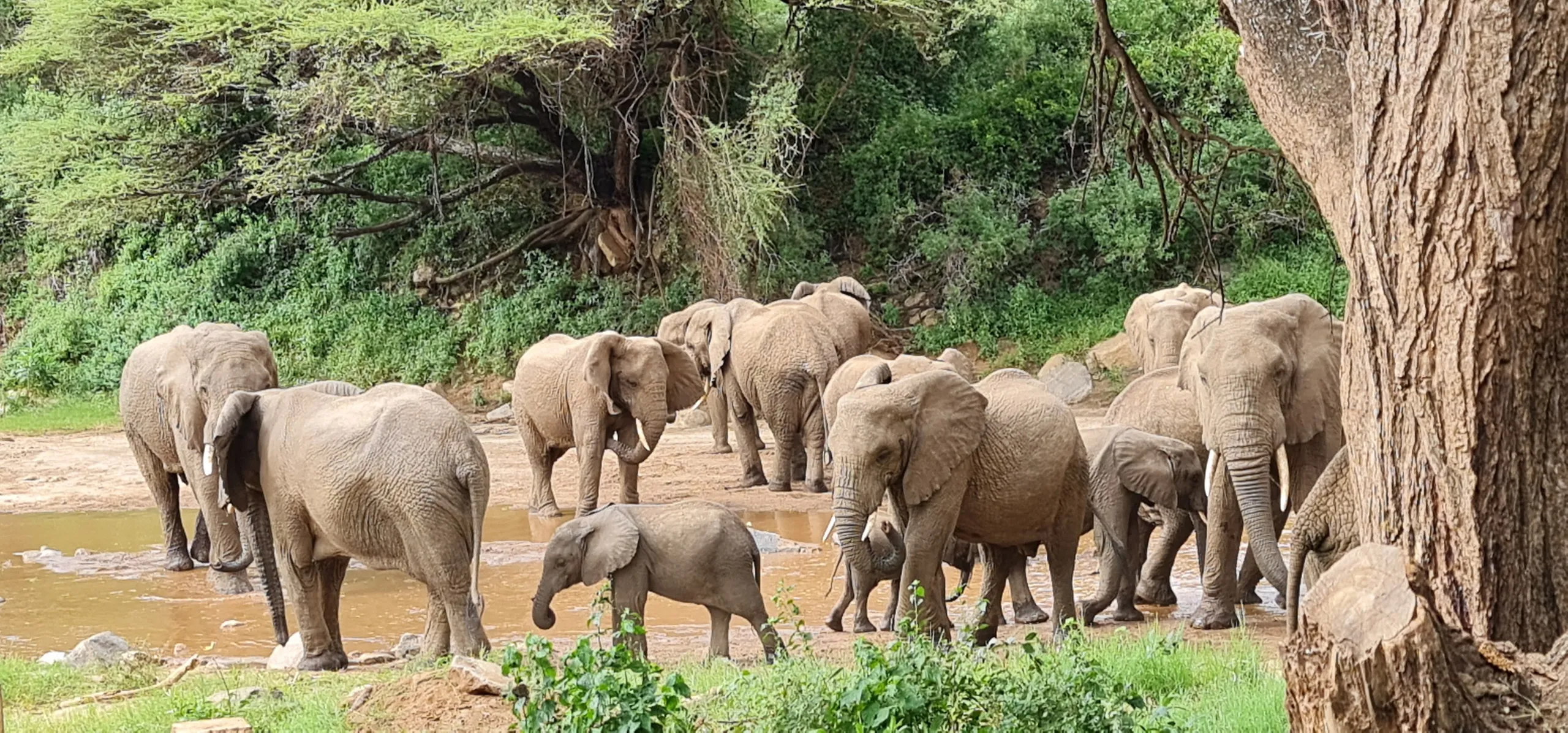 Lake Manyara National Park