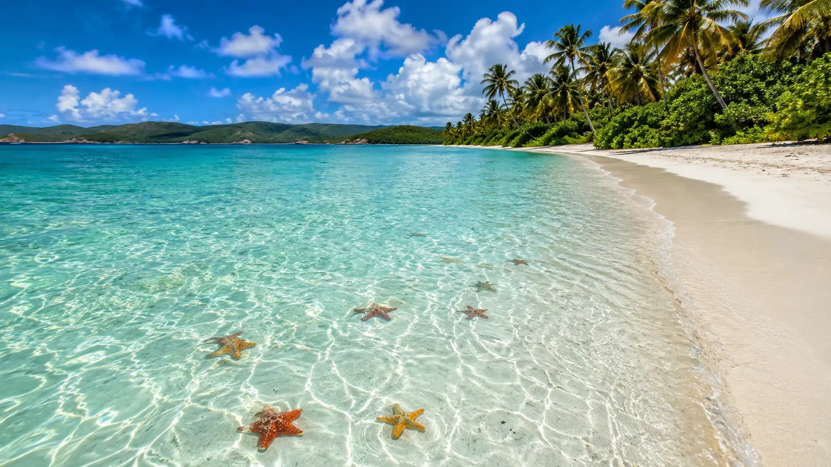 Samaná & Las Terrenas