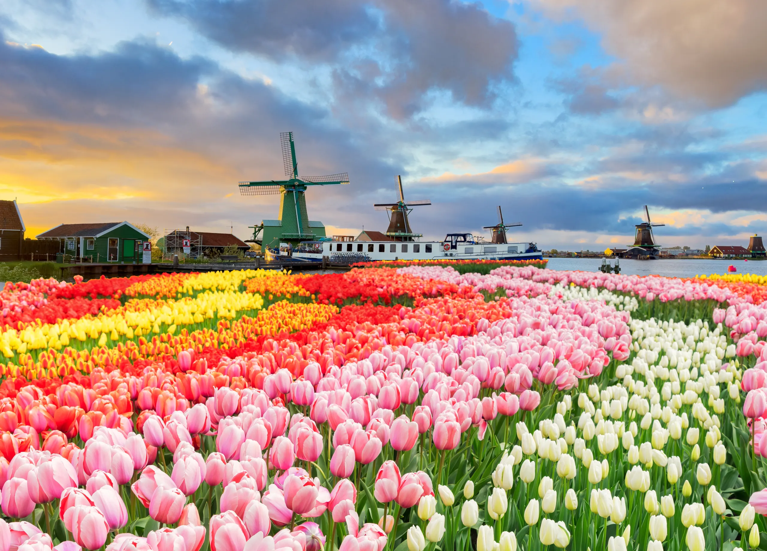 Dutch Countryside