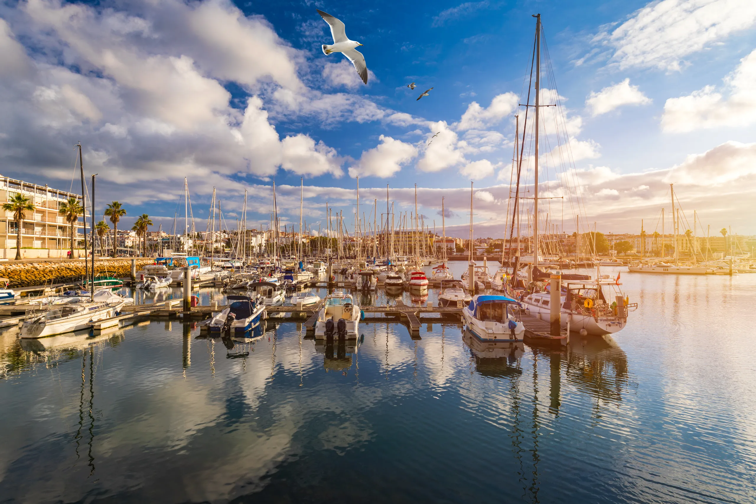 Golden Coast by Private Boat