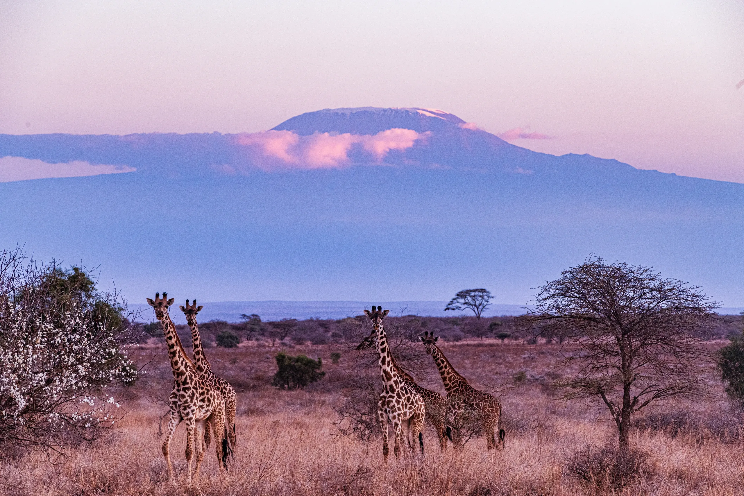 Kilimanjaro Region