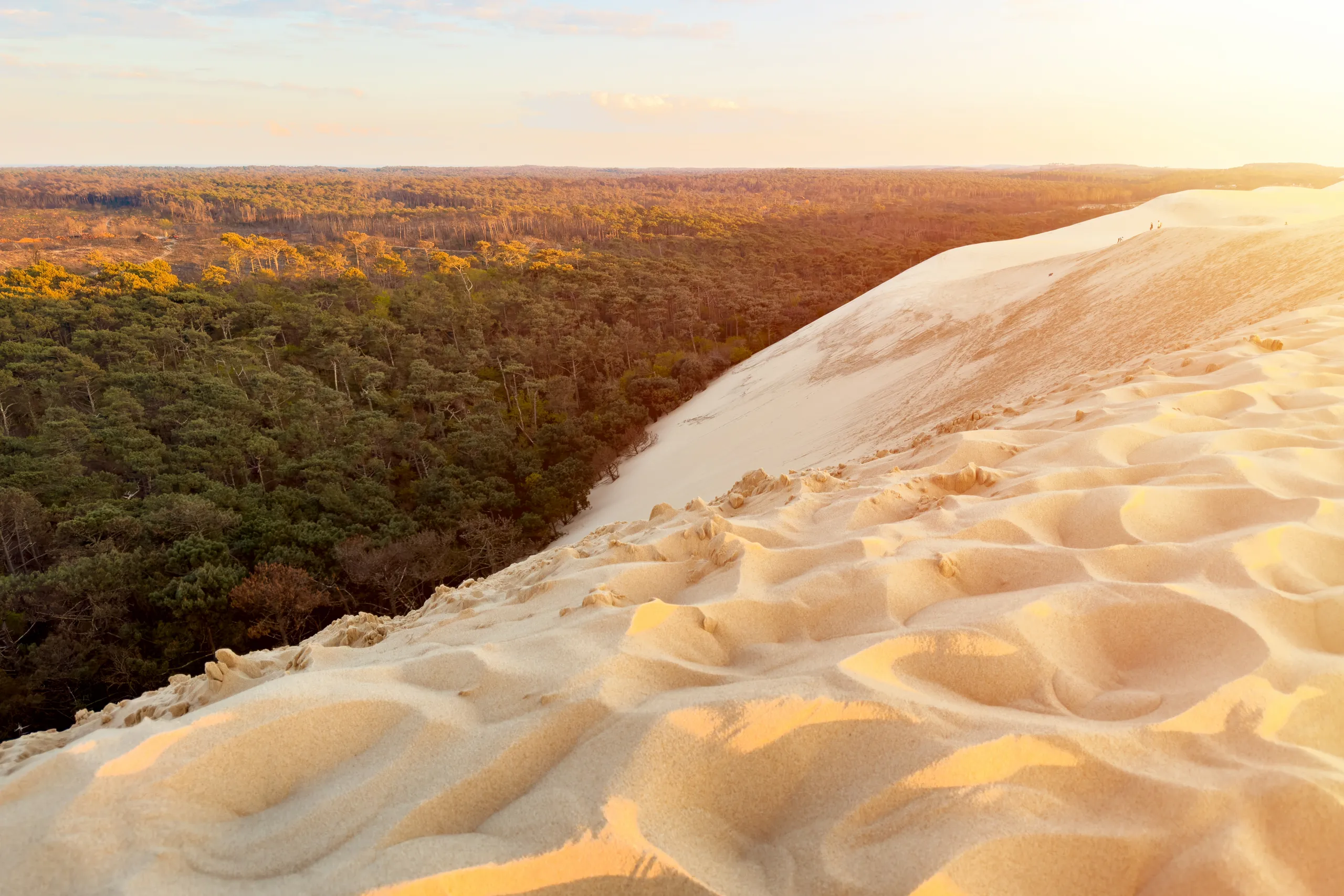 Bordeaux → Arcachon Bay — The Dune du Pilat