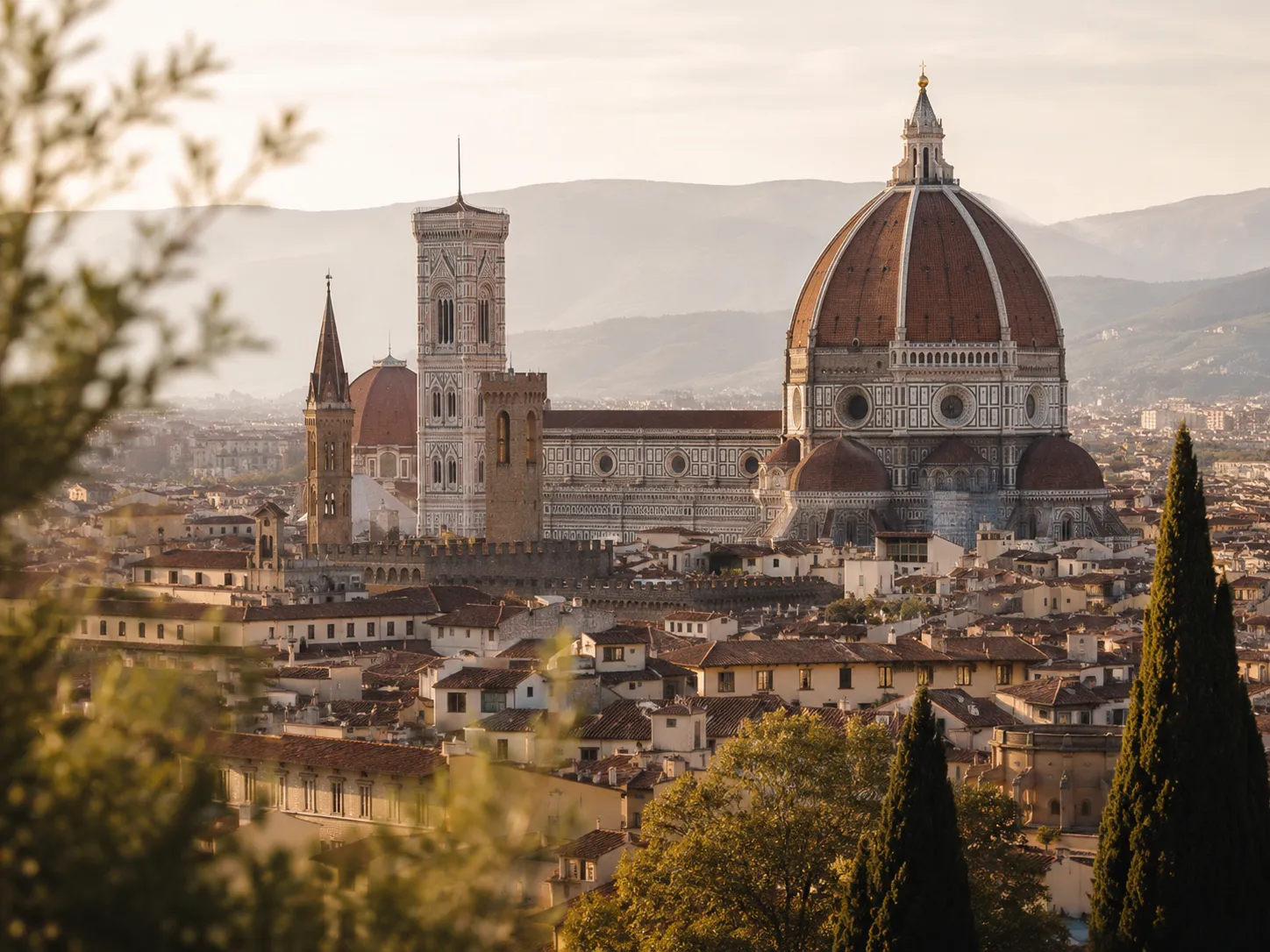 Domed rooftops of a historic European city