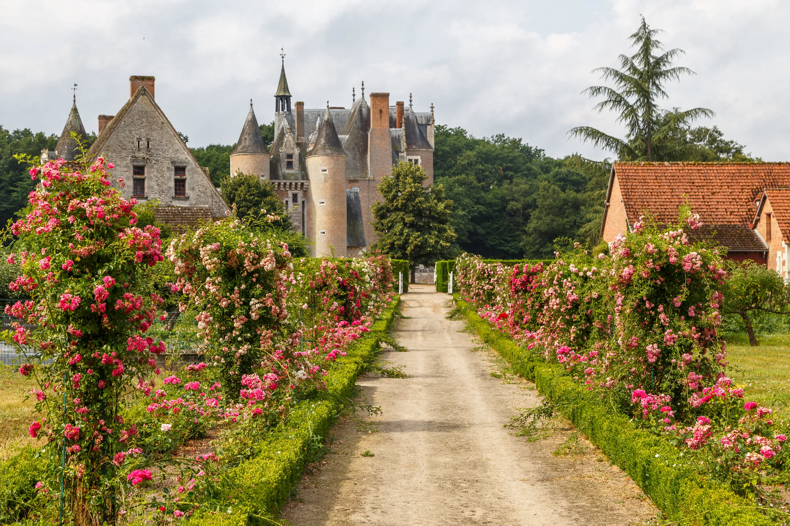 Leisurely Loire — Cycling & Estate Life