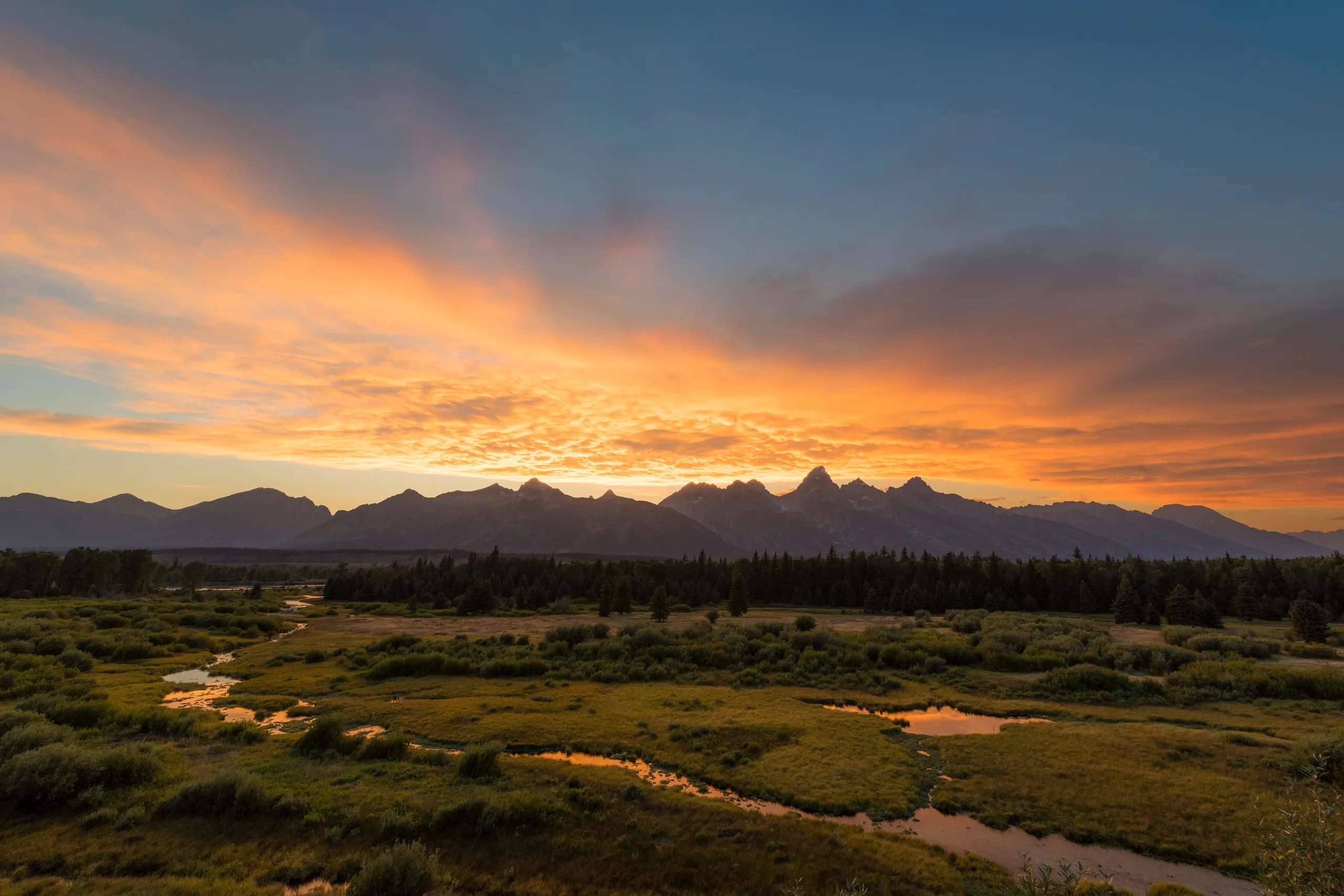 Jackson Hole