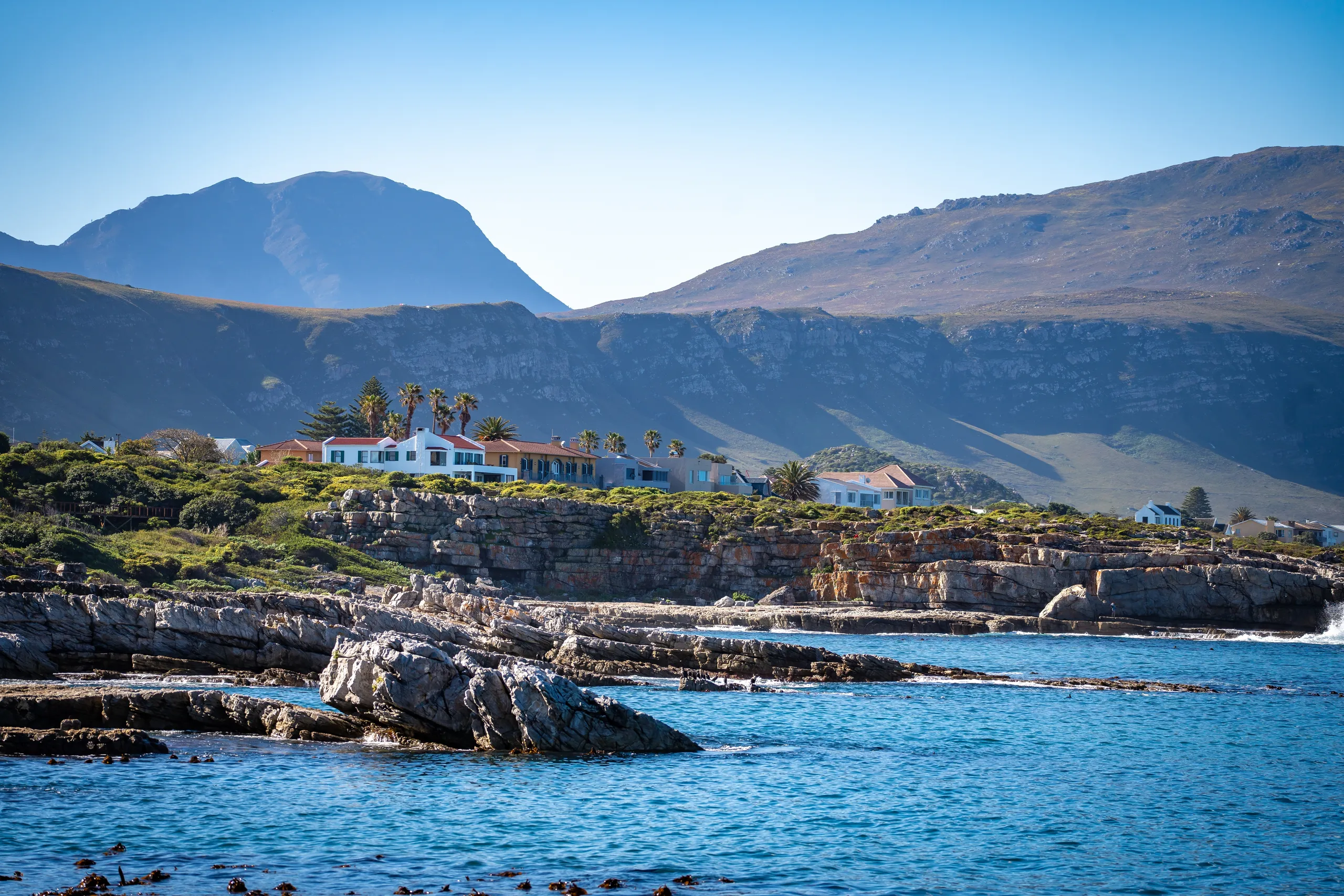 Hermanus
