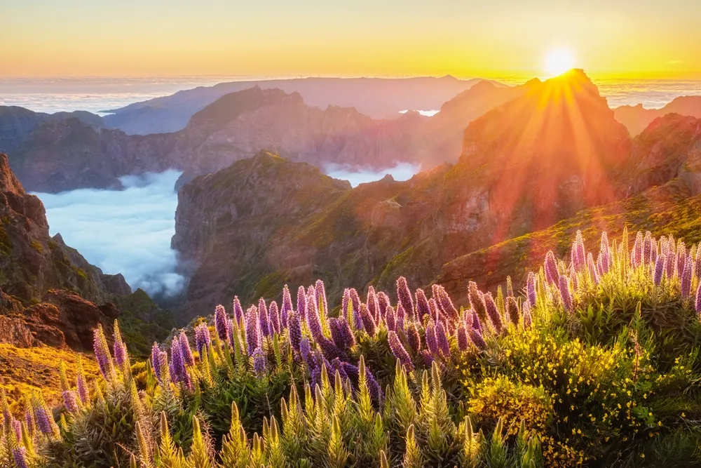 Madeira