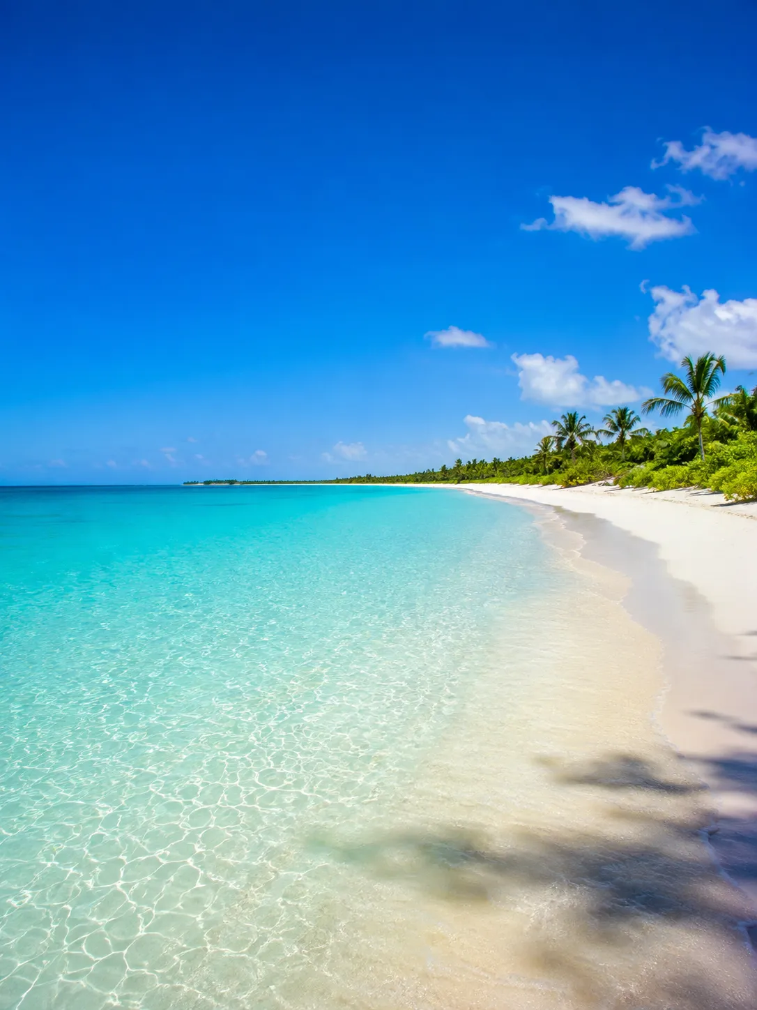Shoal Bay East
