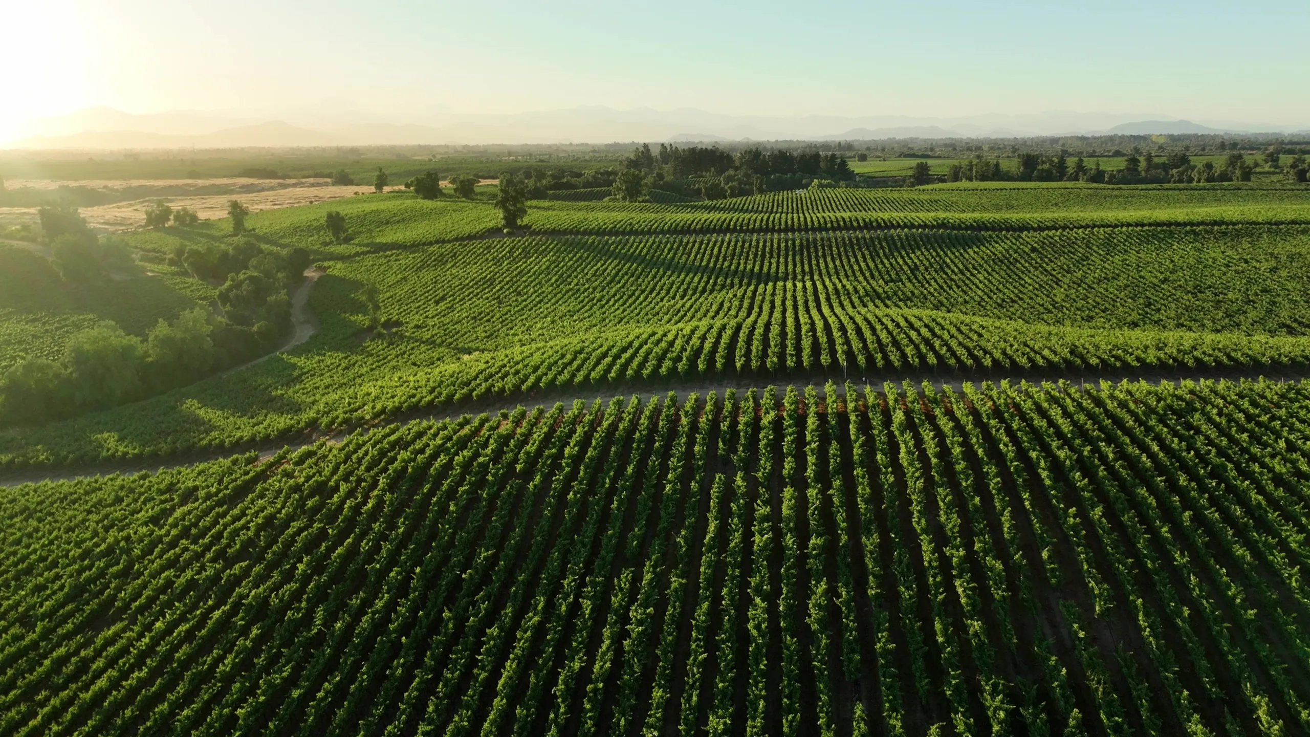Wine Valleys