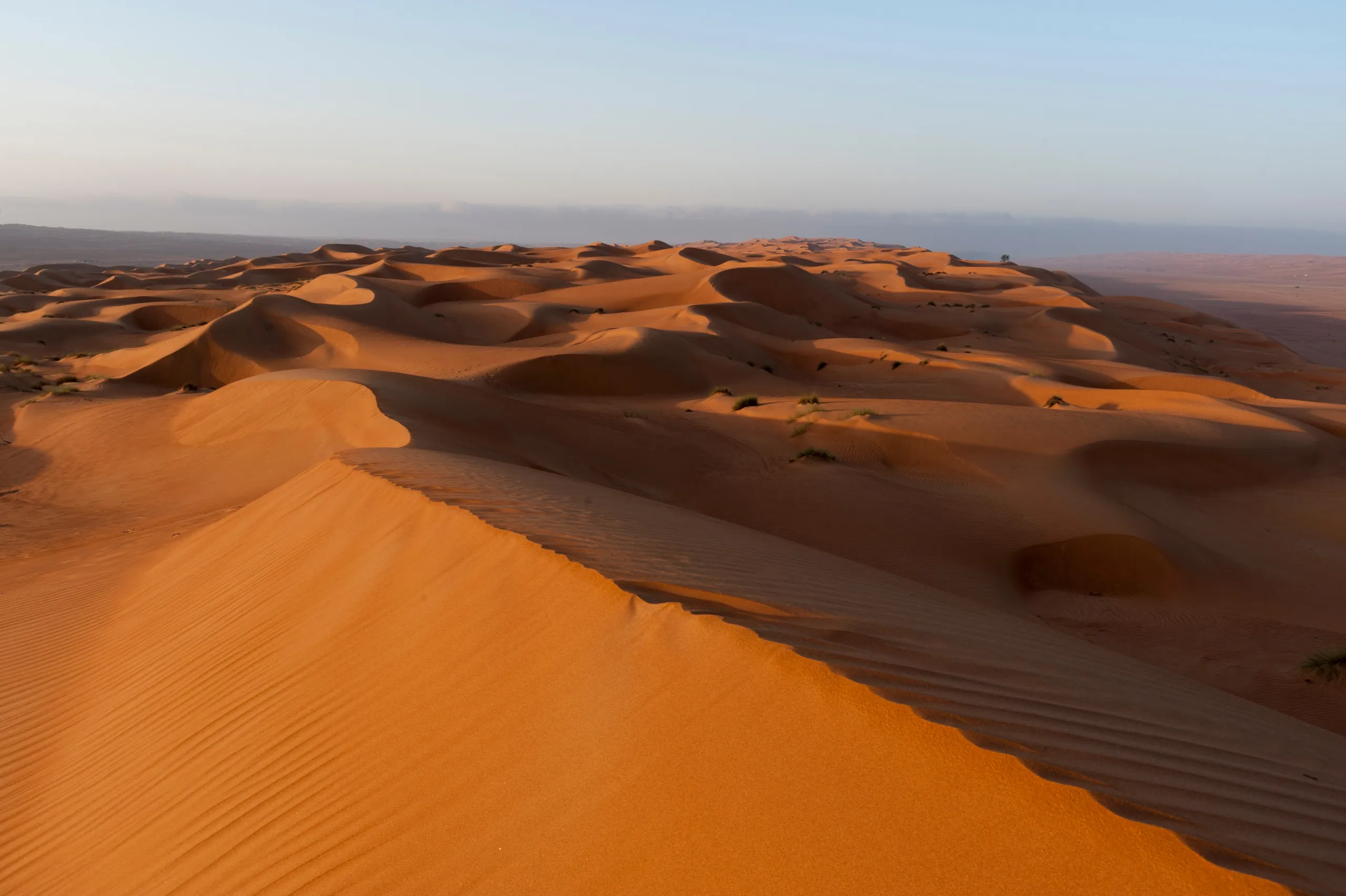 Wahiba Sands