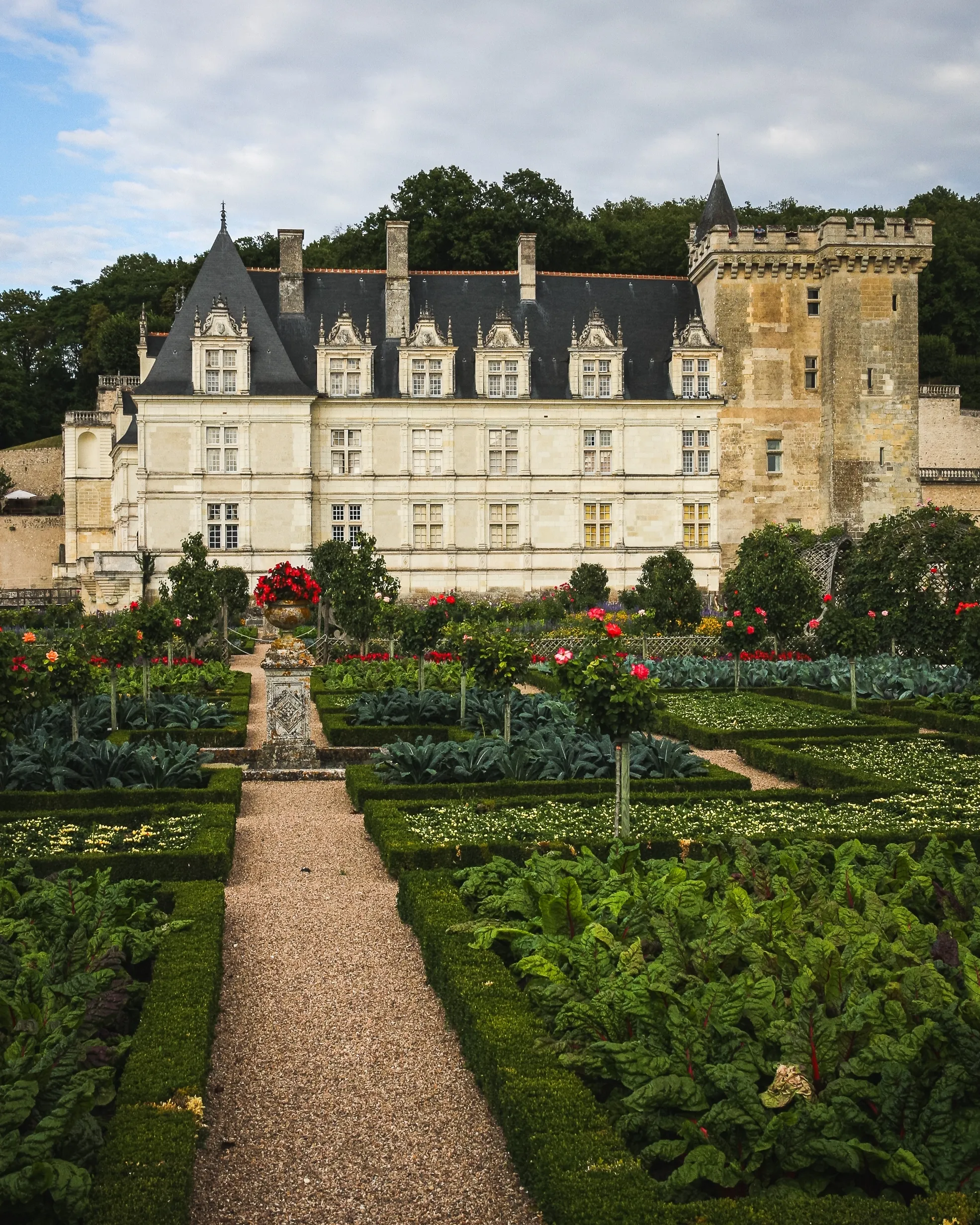 Villandry Gardens, Azay-le-Rideau & Chinon