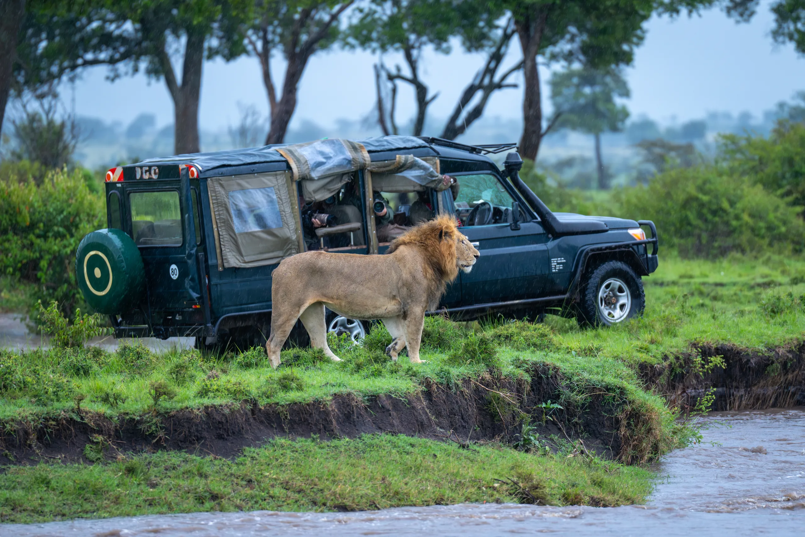 Exploring the Maasai Mara