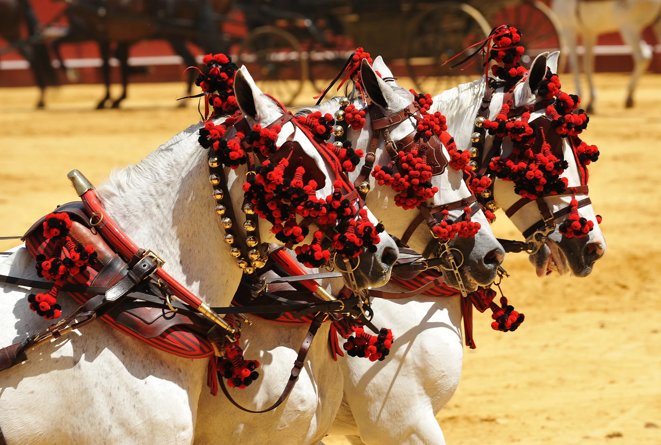 Andalusian Equestrian Heritage