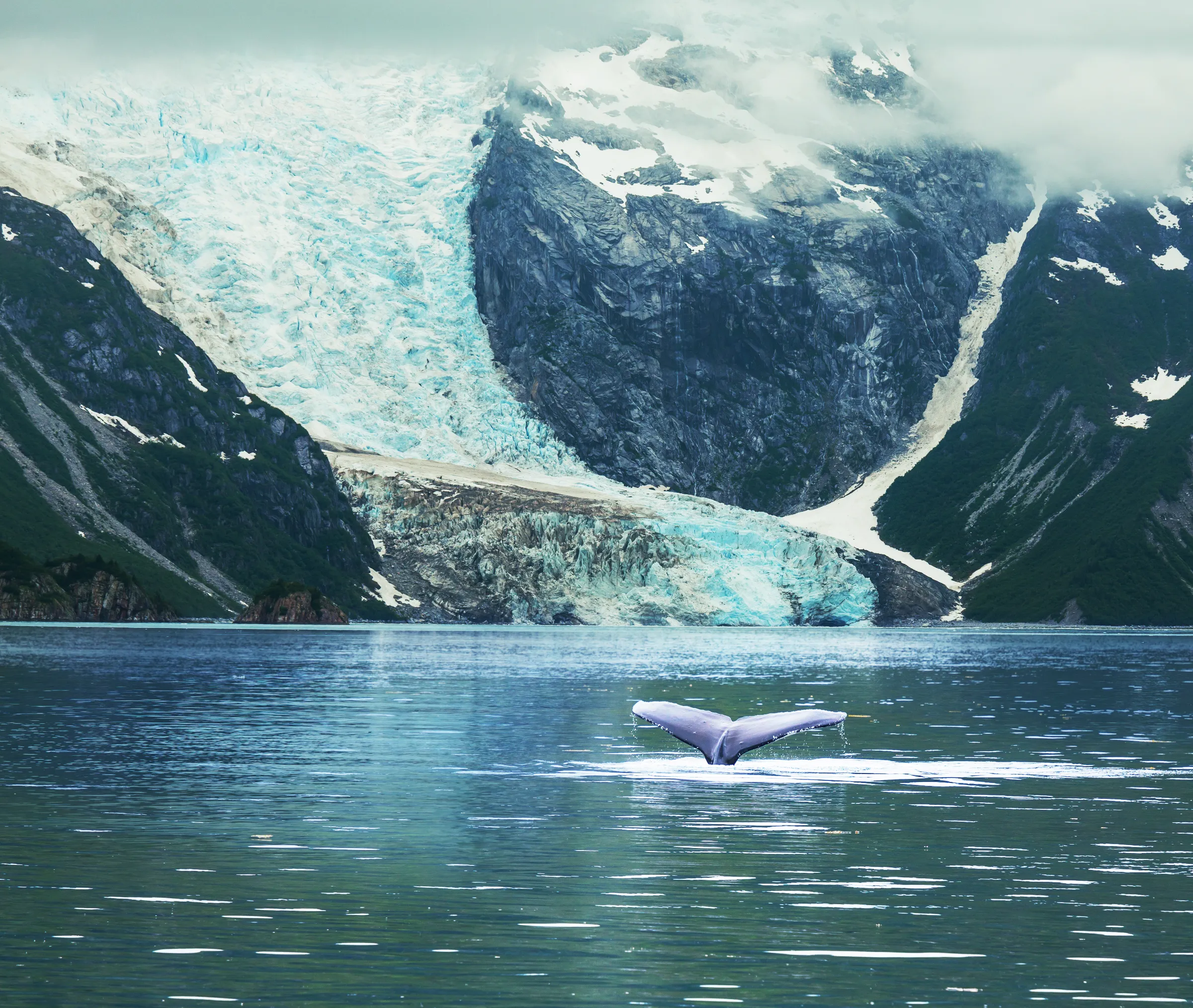 Juneau & Inside Passage