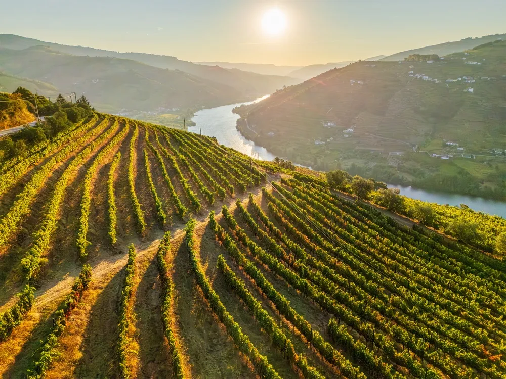 Douro Valley