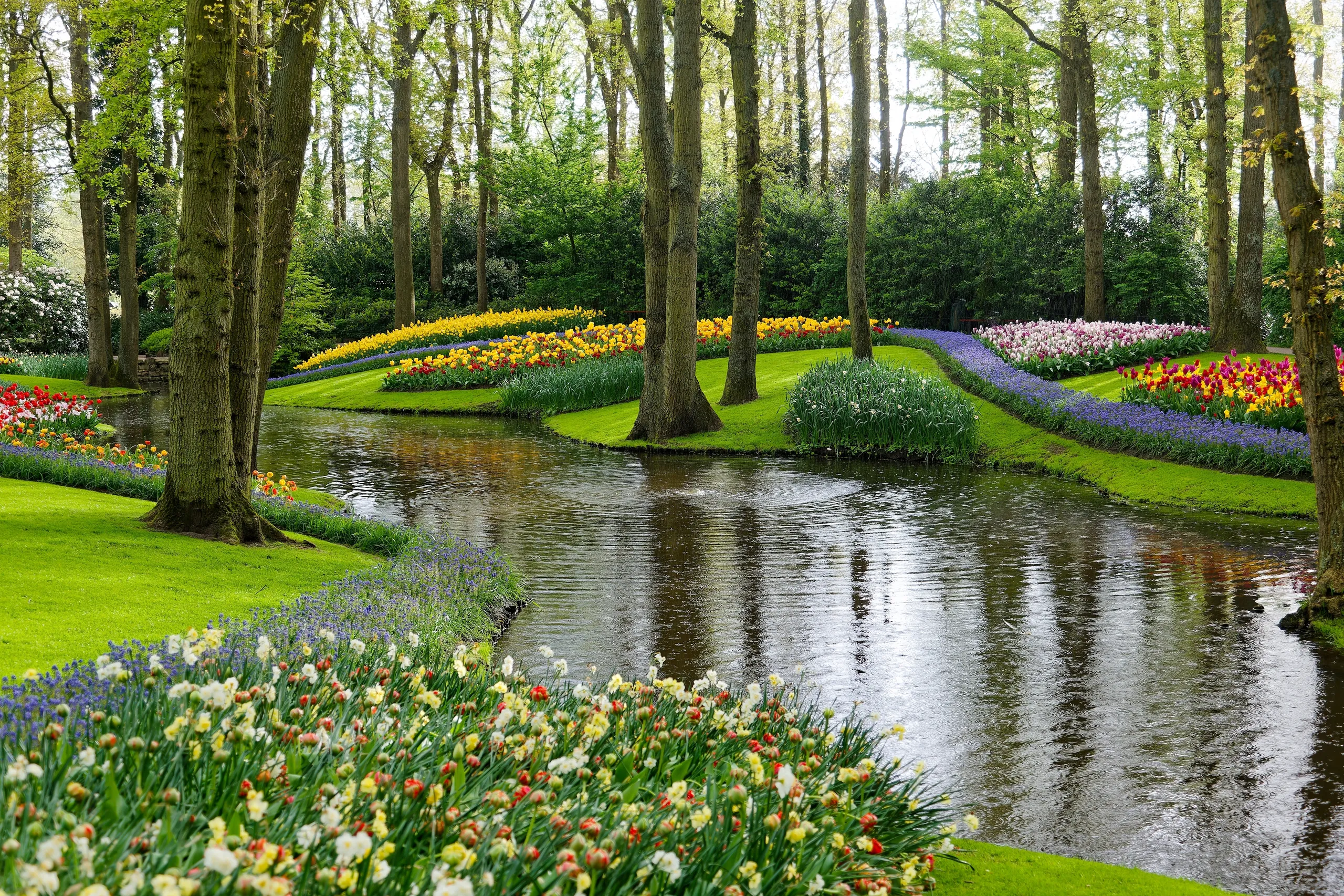 Keukenhof & Lisse