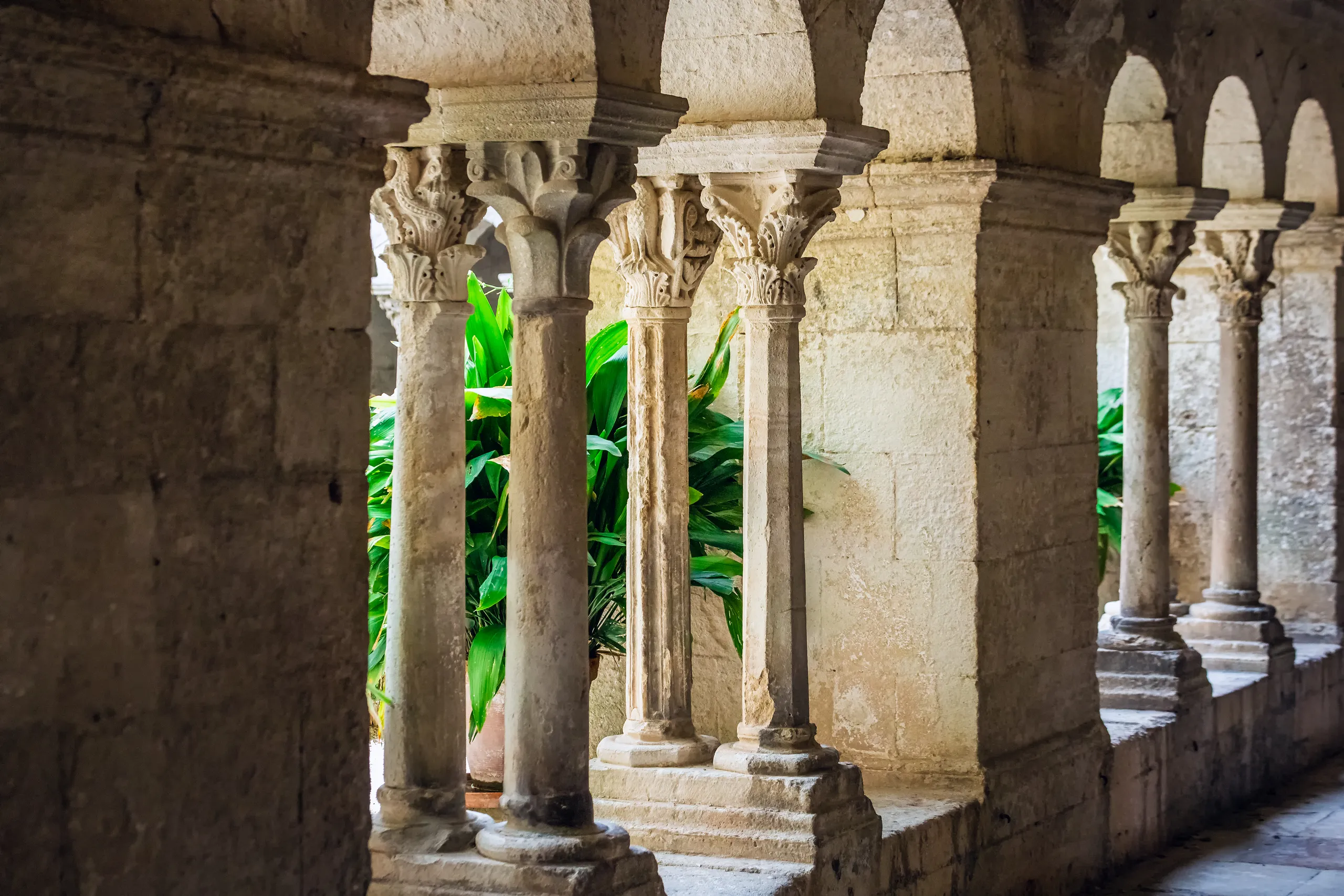 Luberon → Saint-Remy — Van Gogh, Glanum & Olive Groves