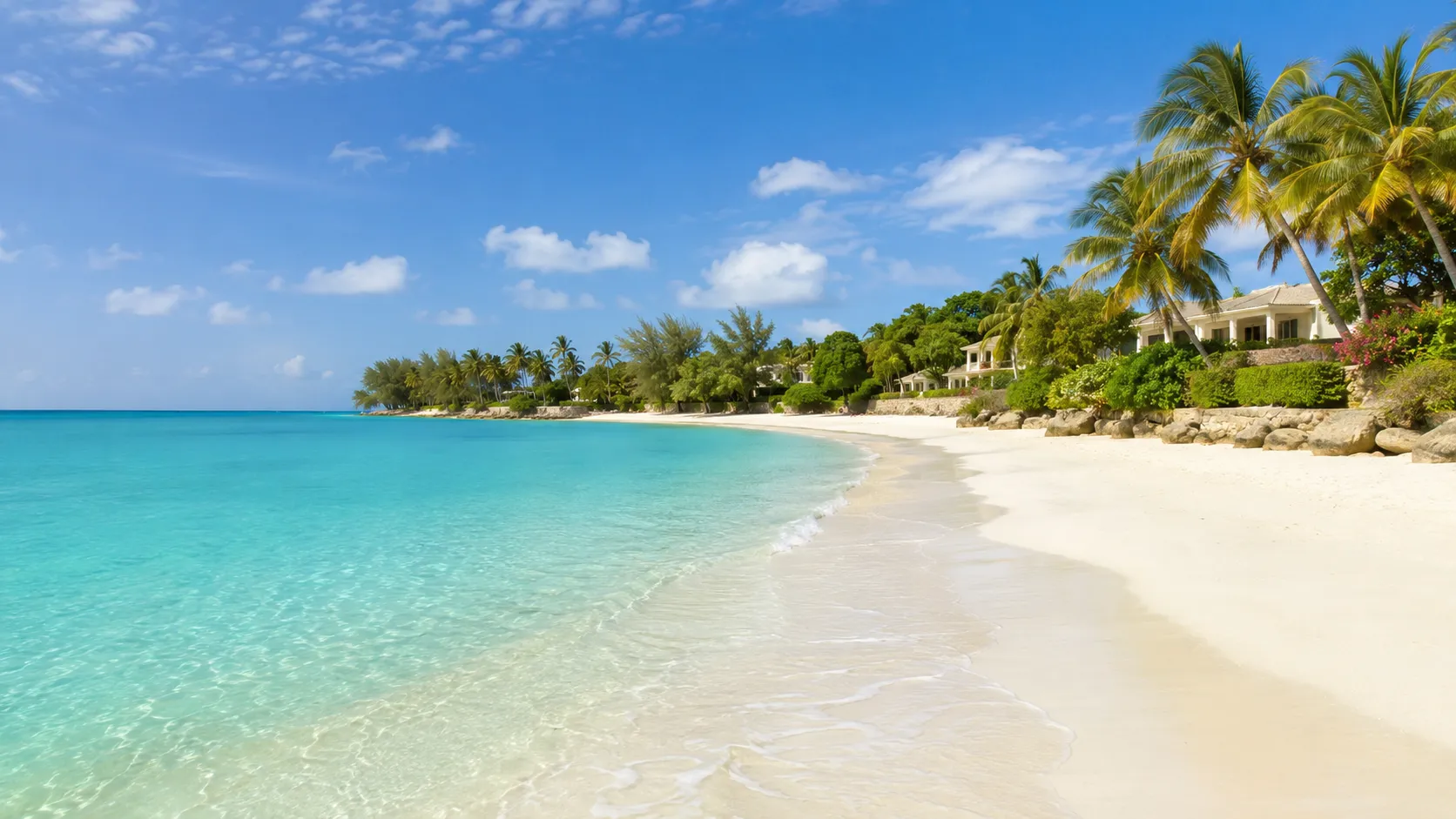 Platinum Coast