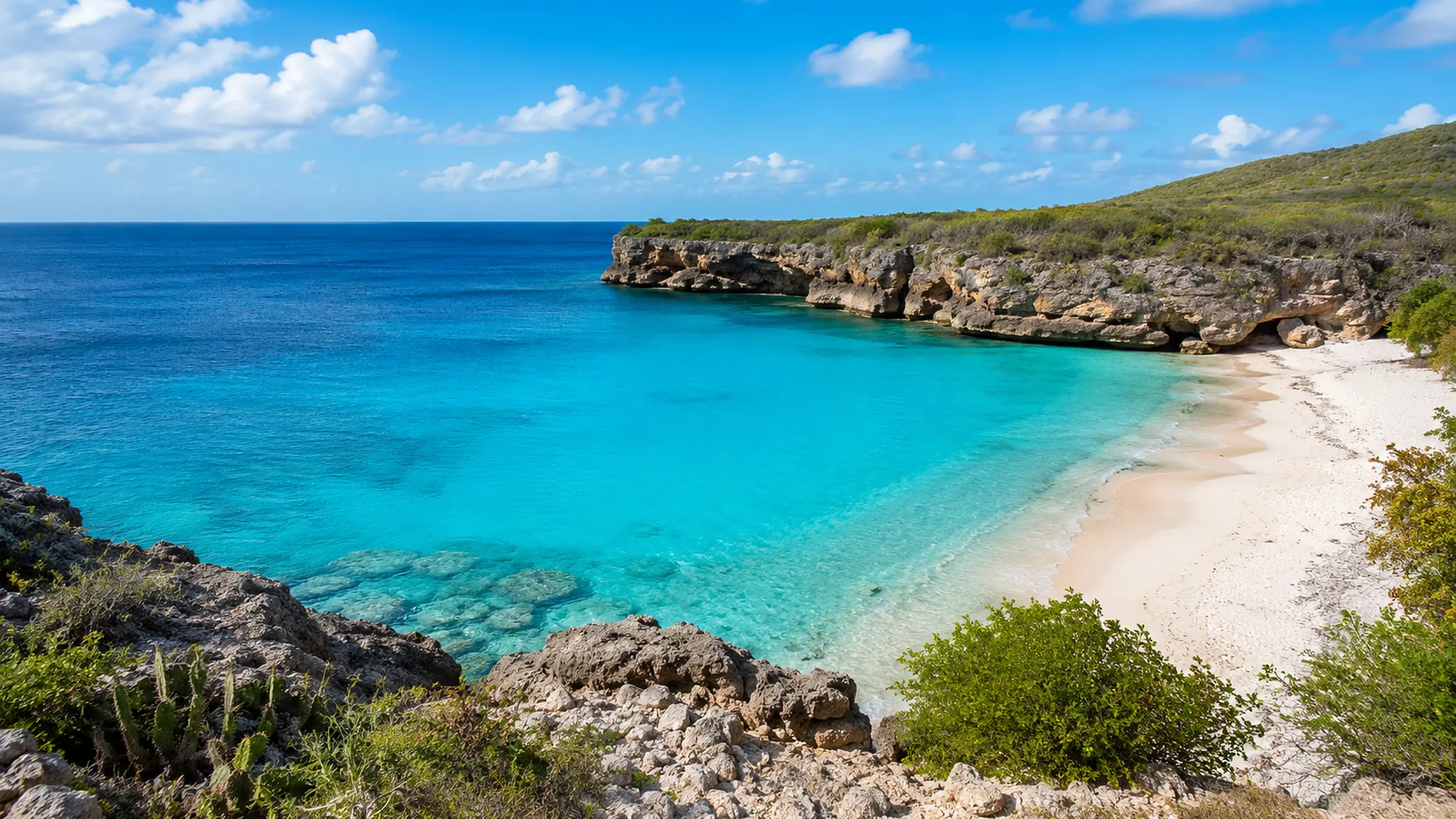 Westpunt & Grote Knip