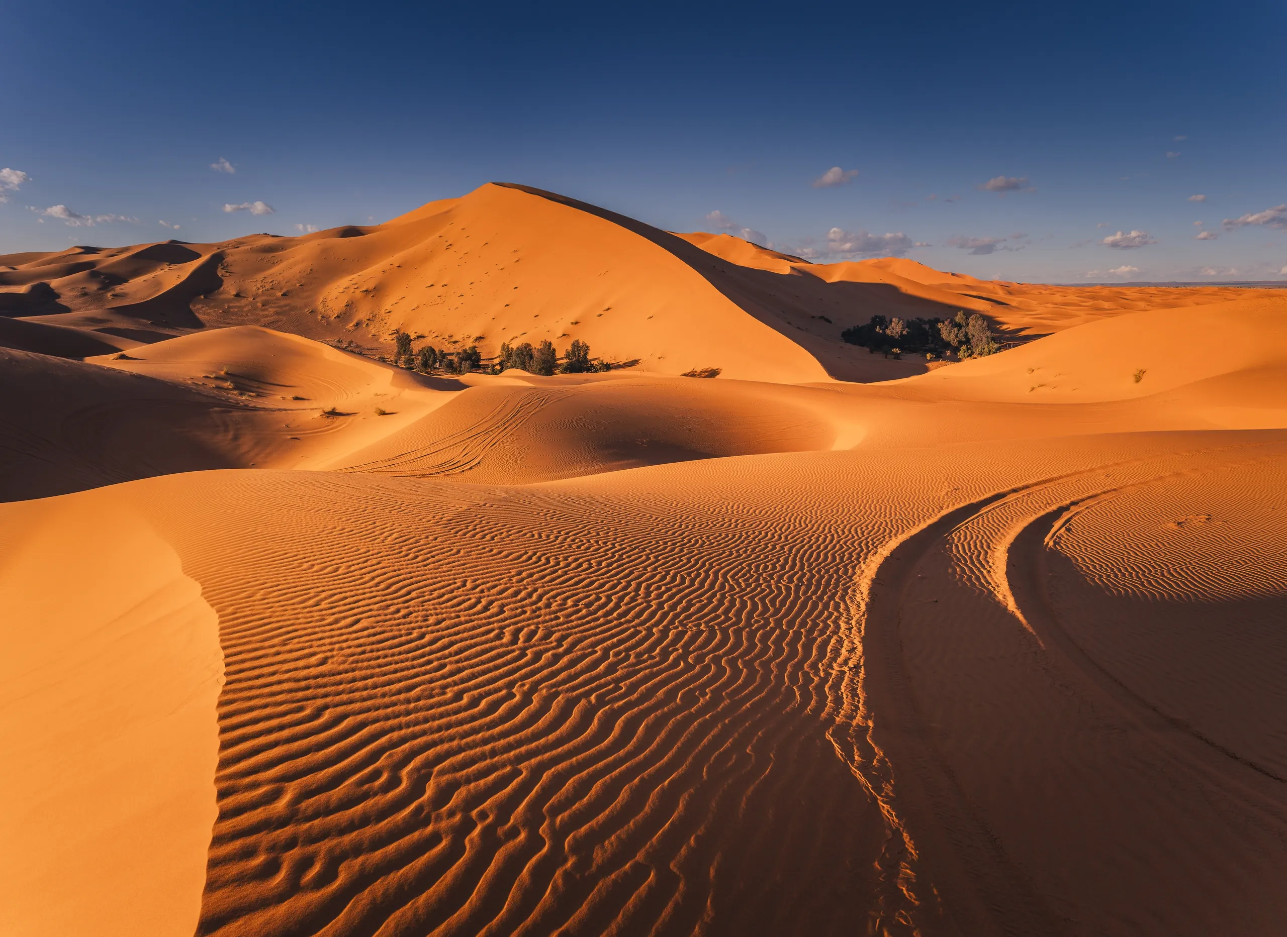 Sahara Desert