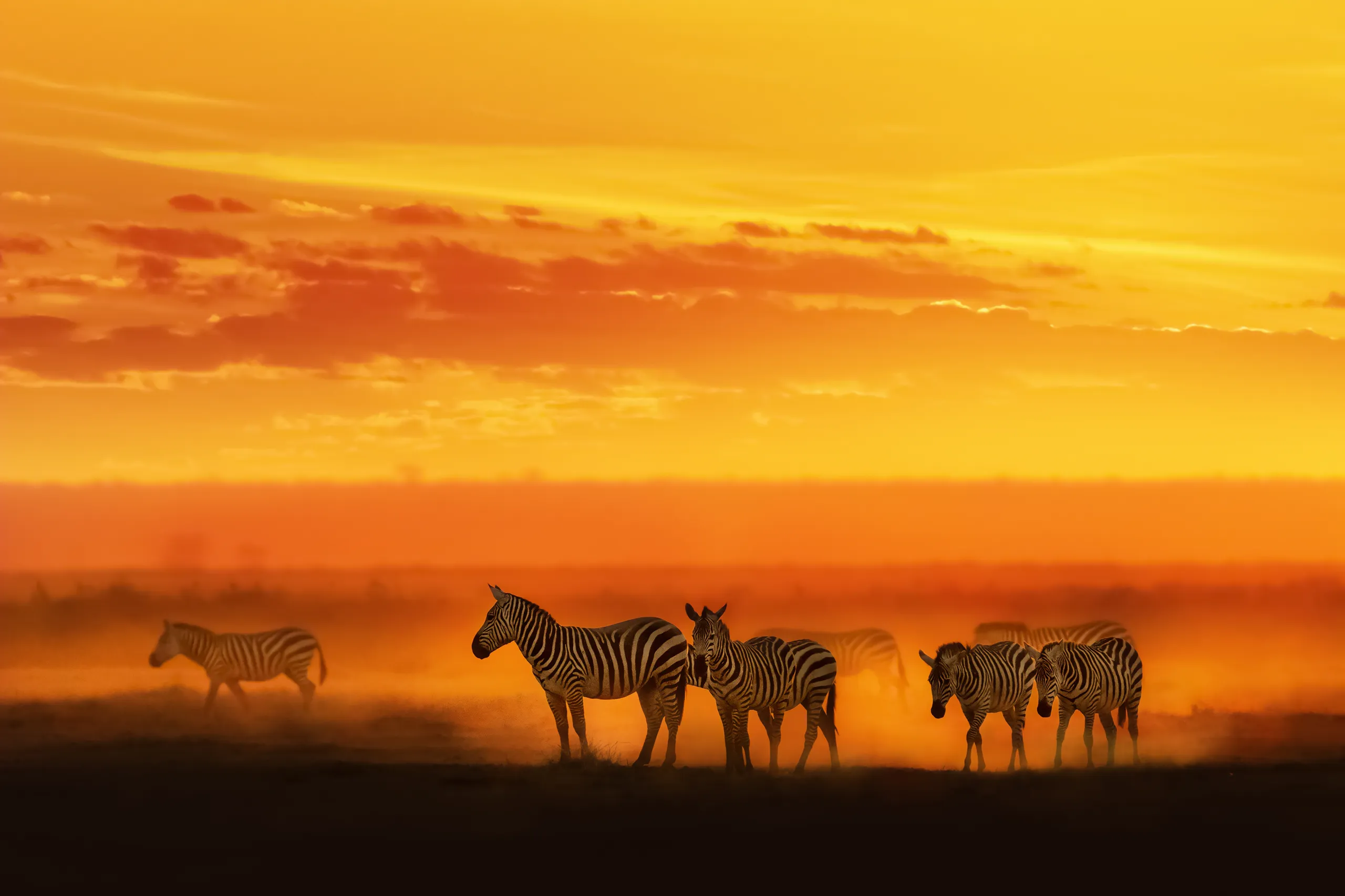Amboseli