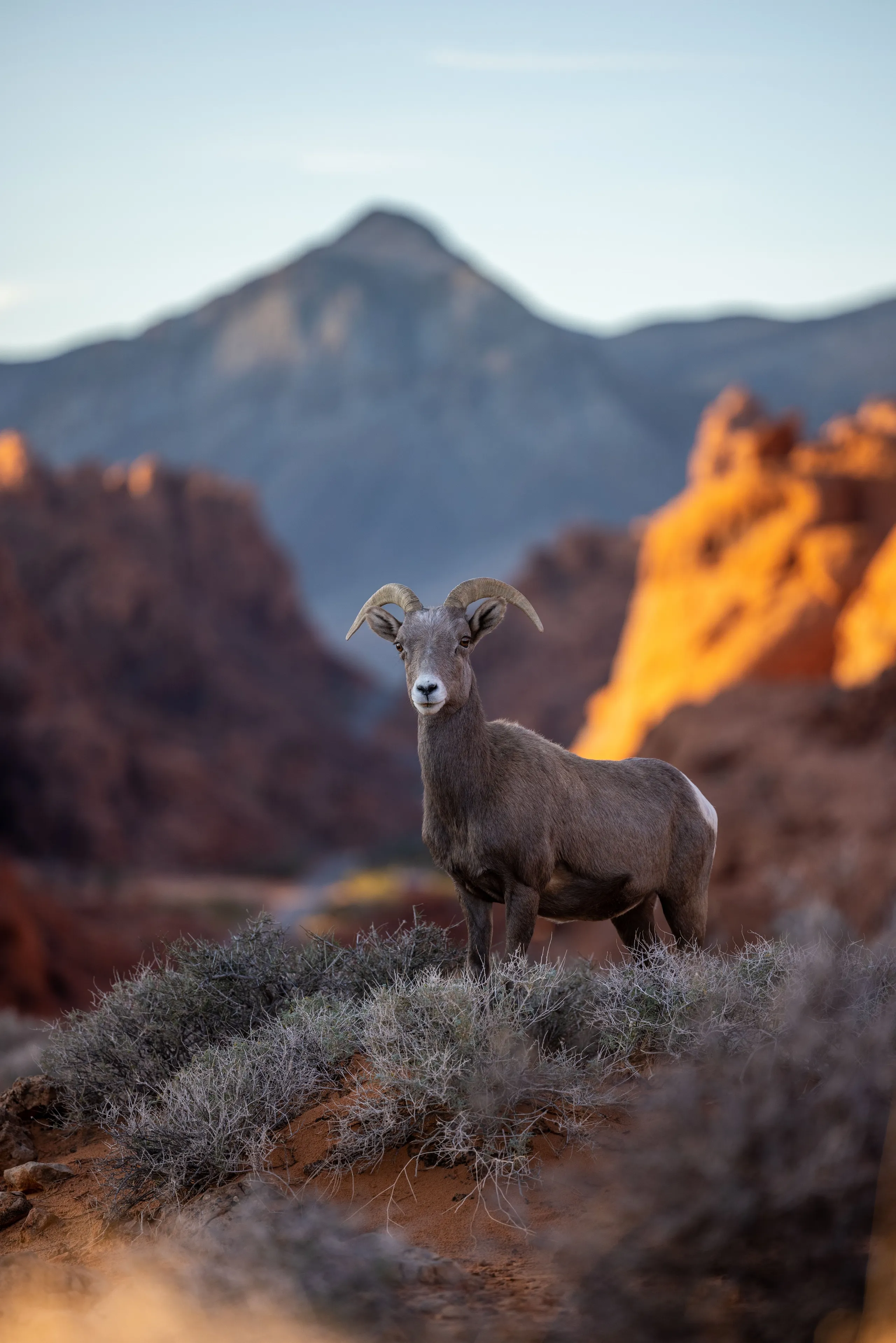 Valley of Fire