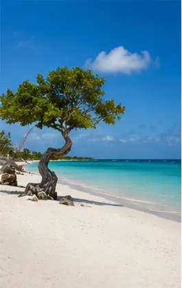 Eagle Beach