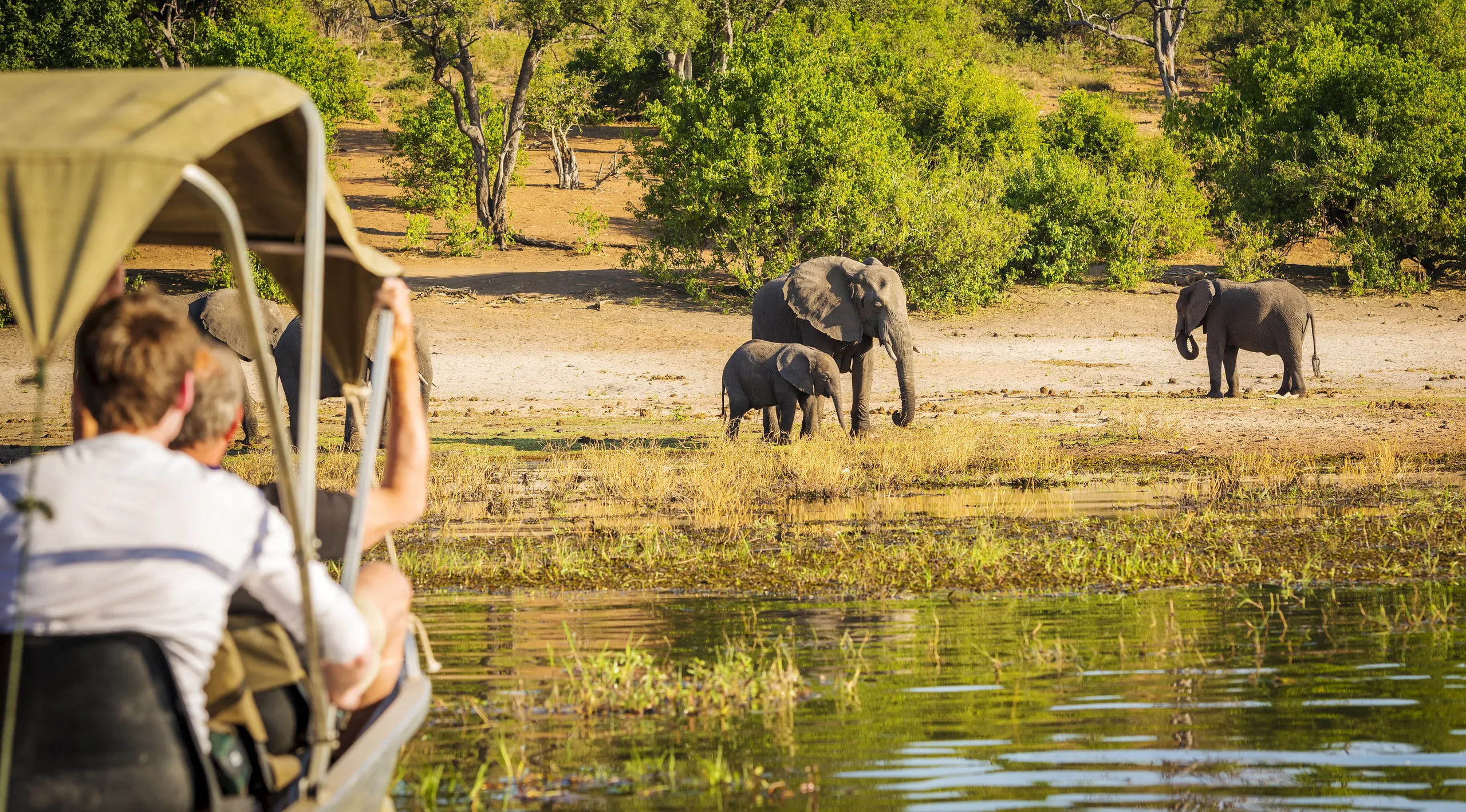Chobe National Park