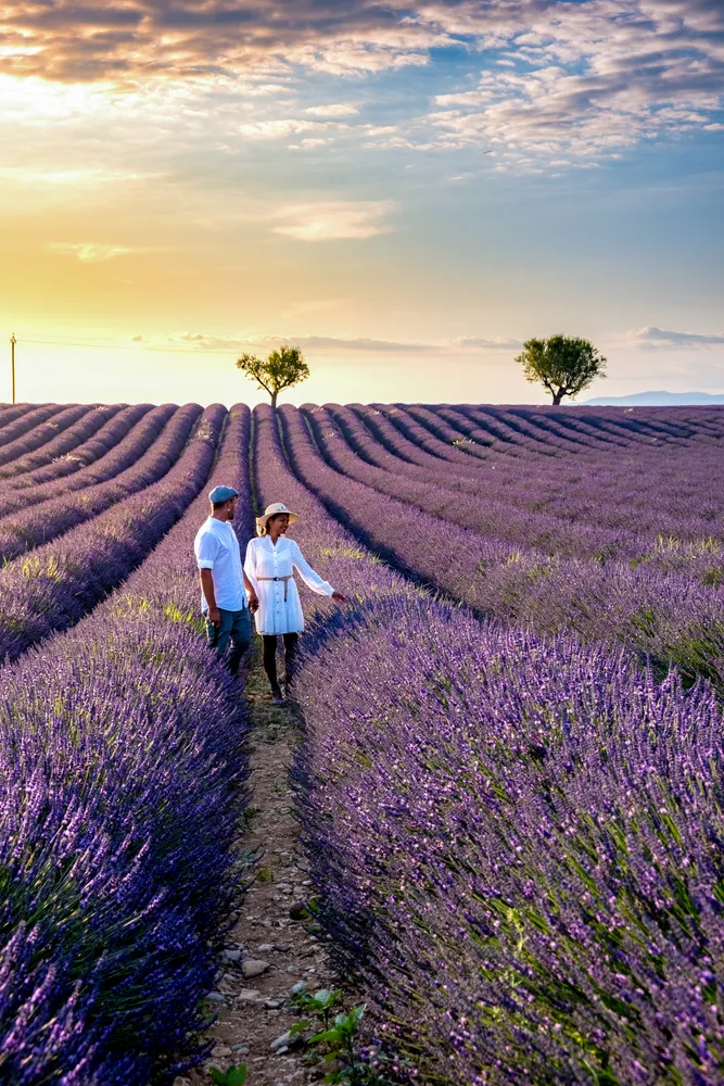 Provence