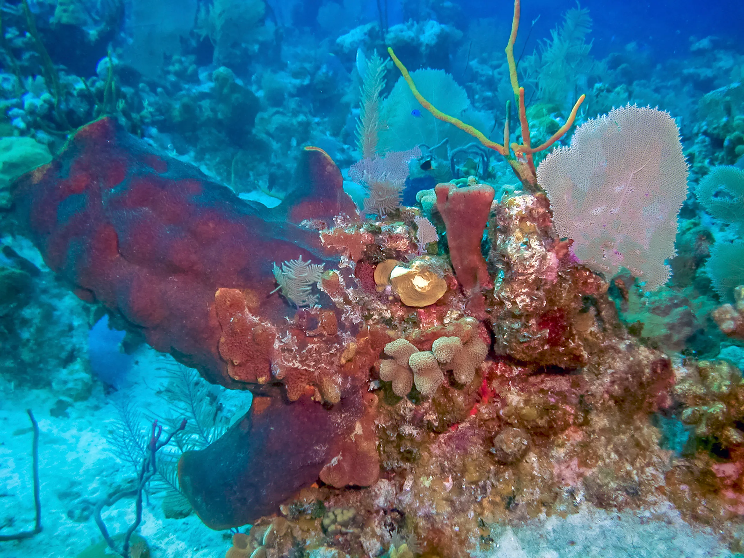South Caicos