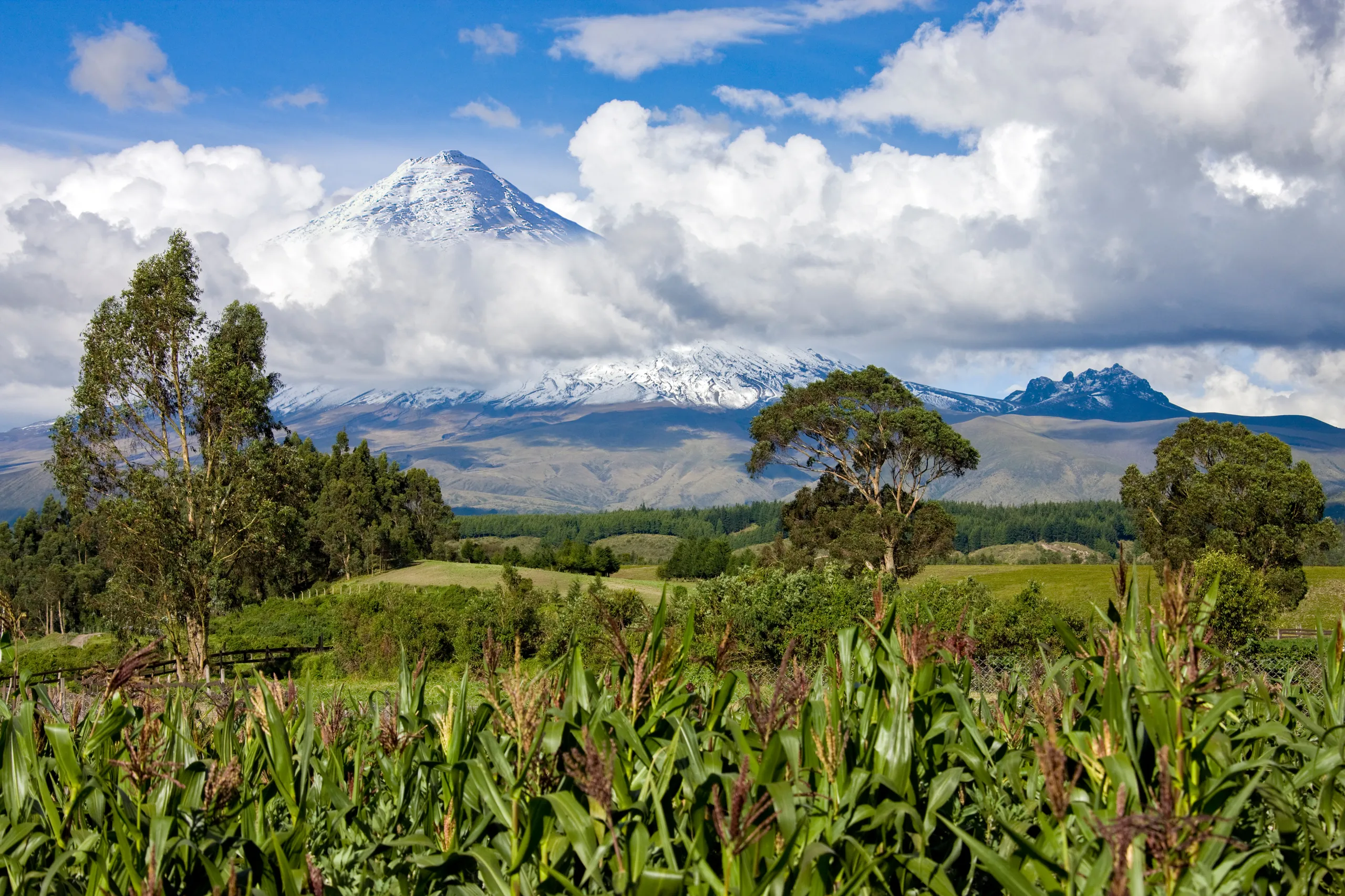 Avenue of the Volcanoes